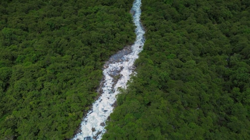 Lush green Amazon rainforest with a river winding through dense trees