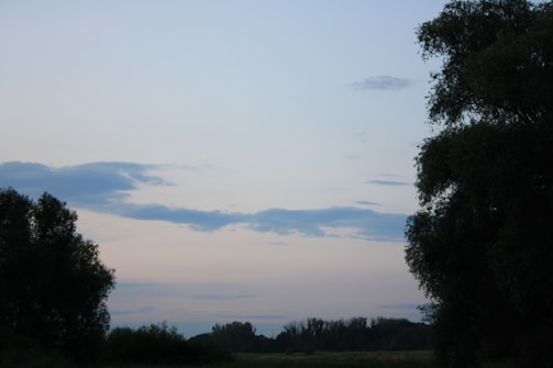 Soft pastel landscape painting capturing a serene moment at dusk.