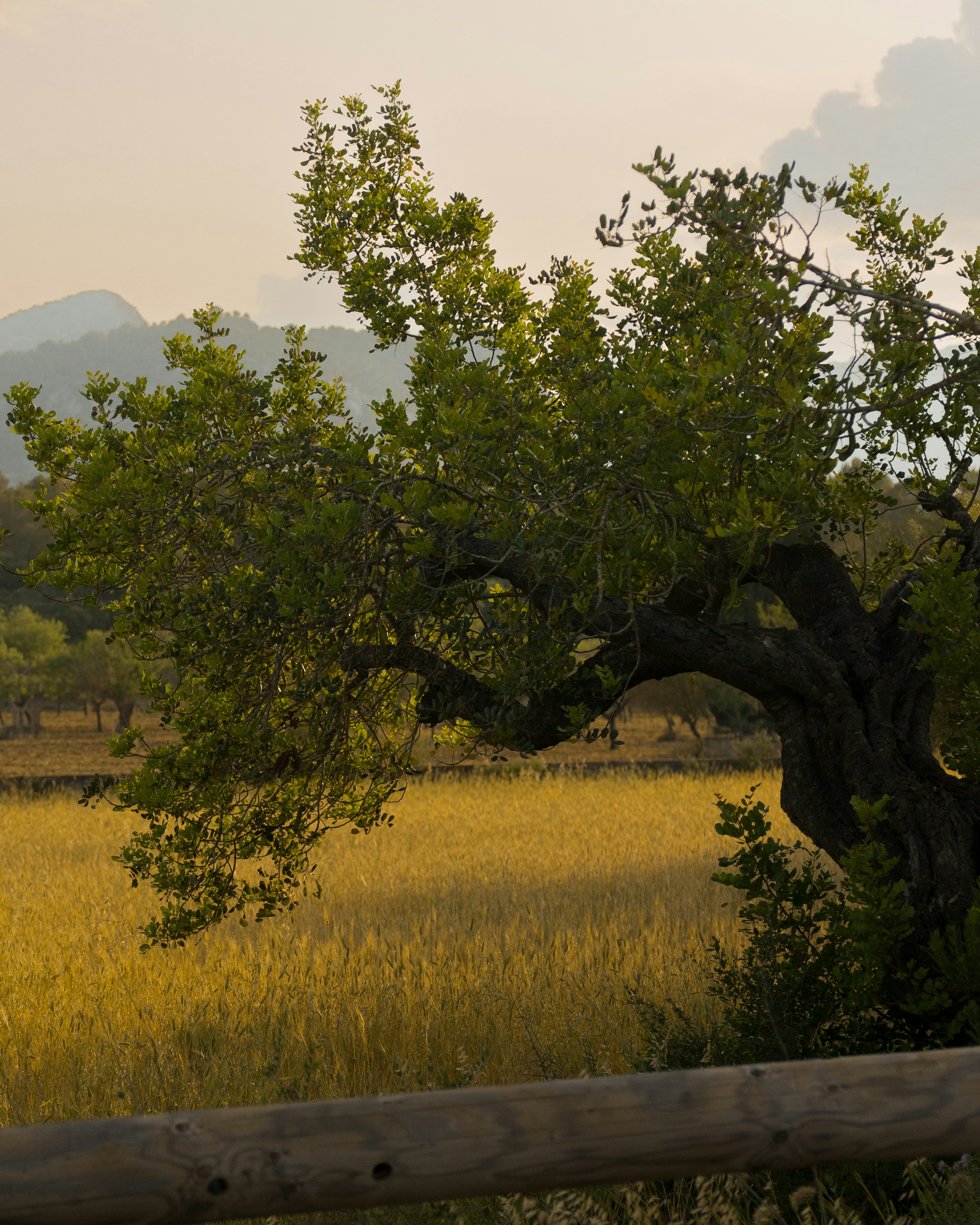 Photo by feelthekifunah