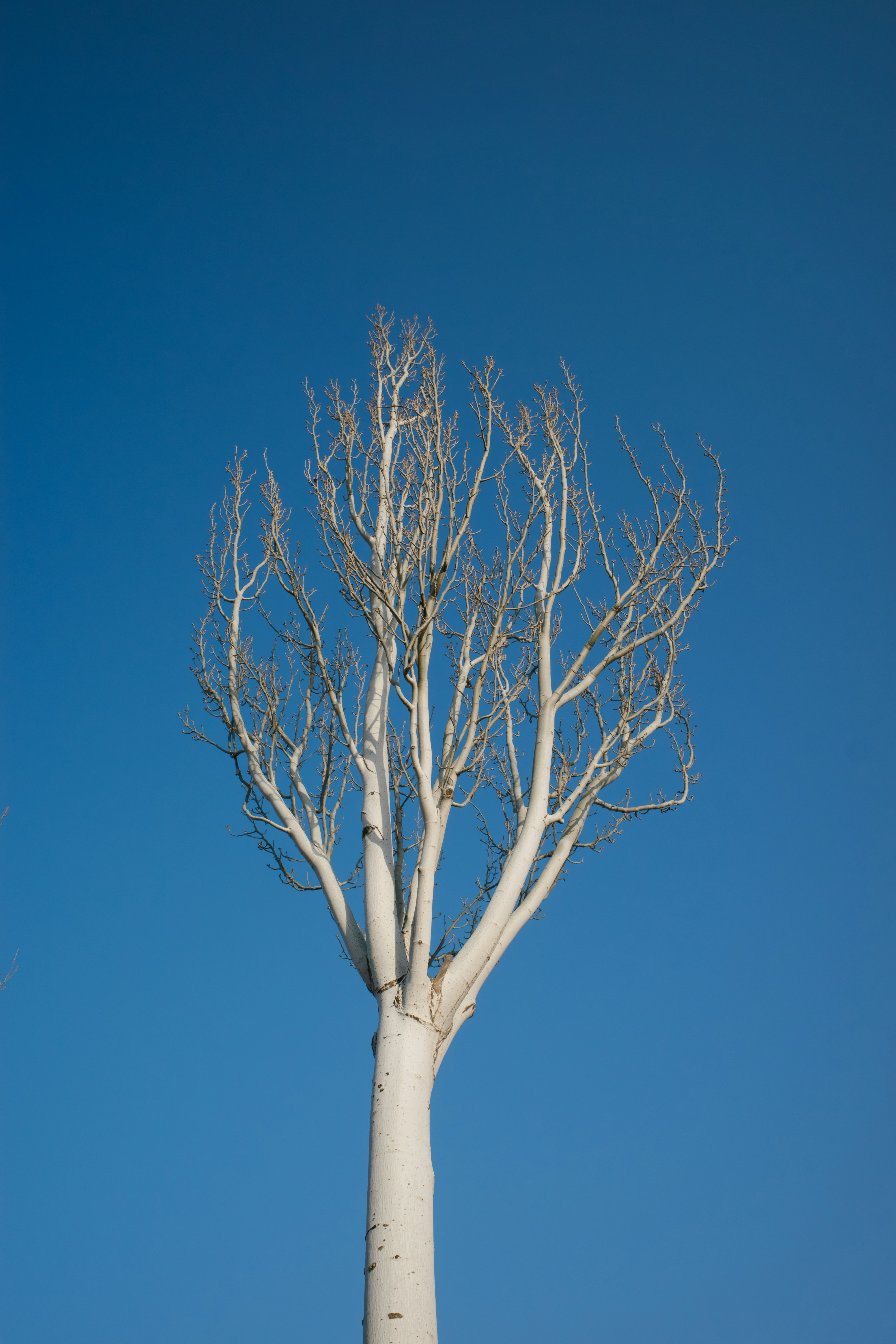 Photo by chriszhang0806