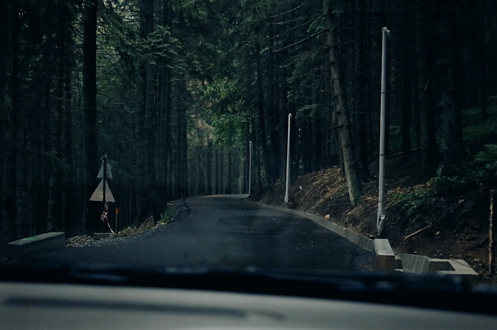 a car driving down a road next to a forest