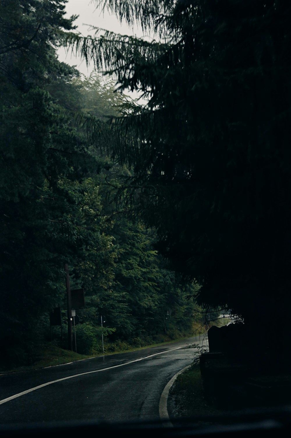 a car driving down a road next to a forest
