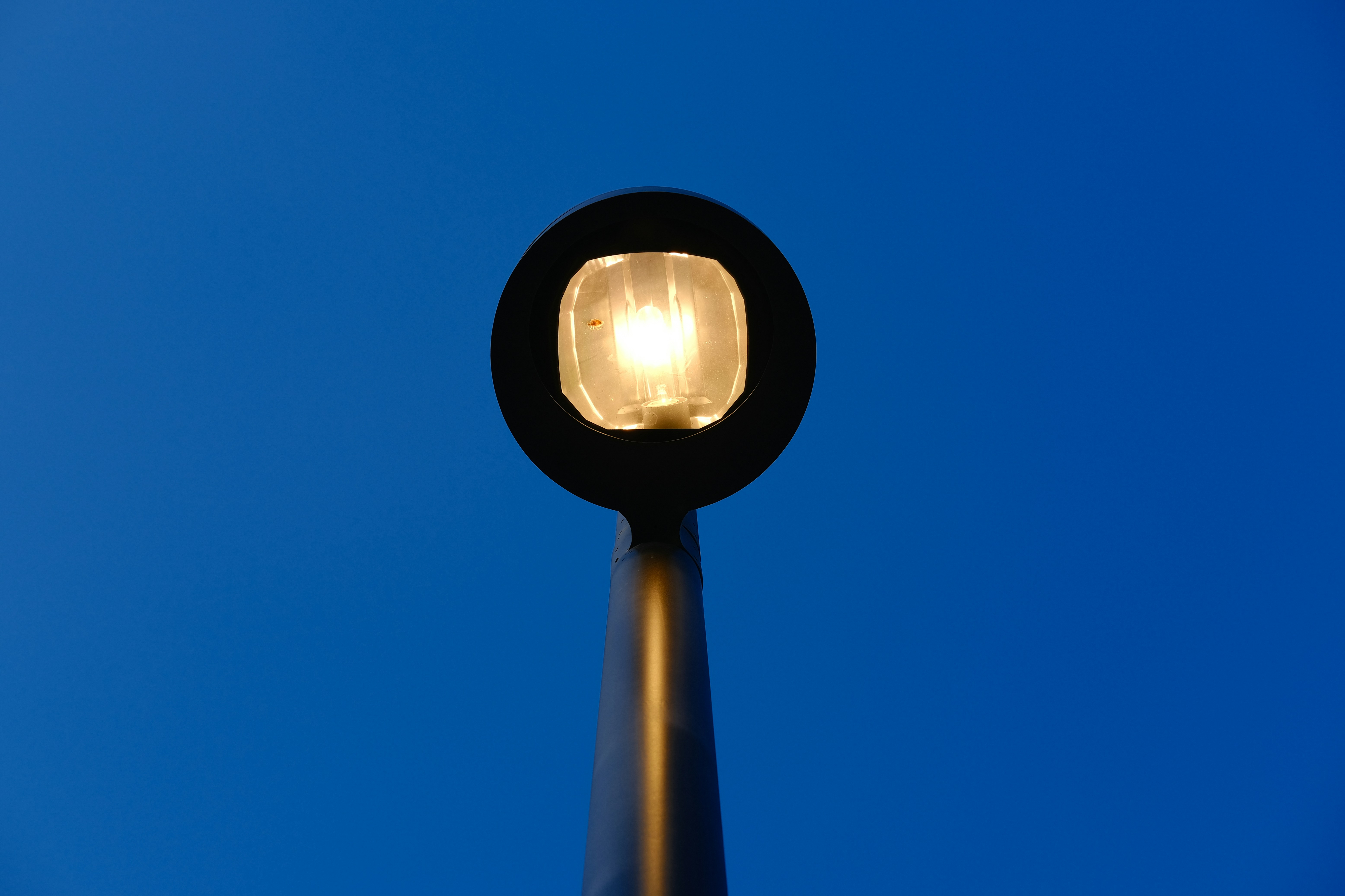 Photo by chriszhang0806