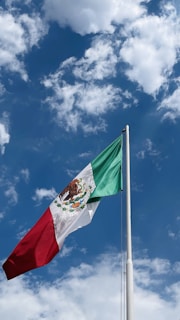 A large tricolor flag with green, white, and red vertical stripes waves on a flagpole. The flag features a detailed emblem with an eagle and a snake in the center stripe. The background is a bright blue sky scattered with fluffy white clouds.