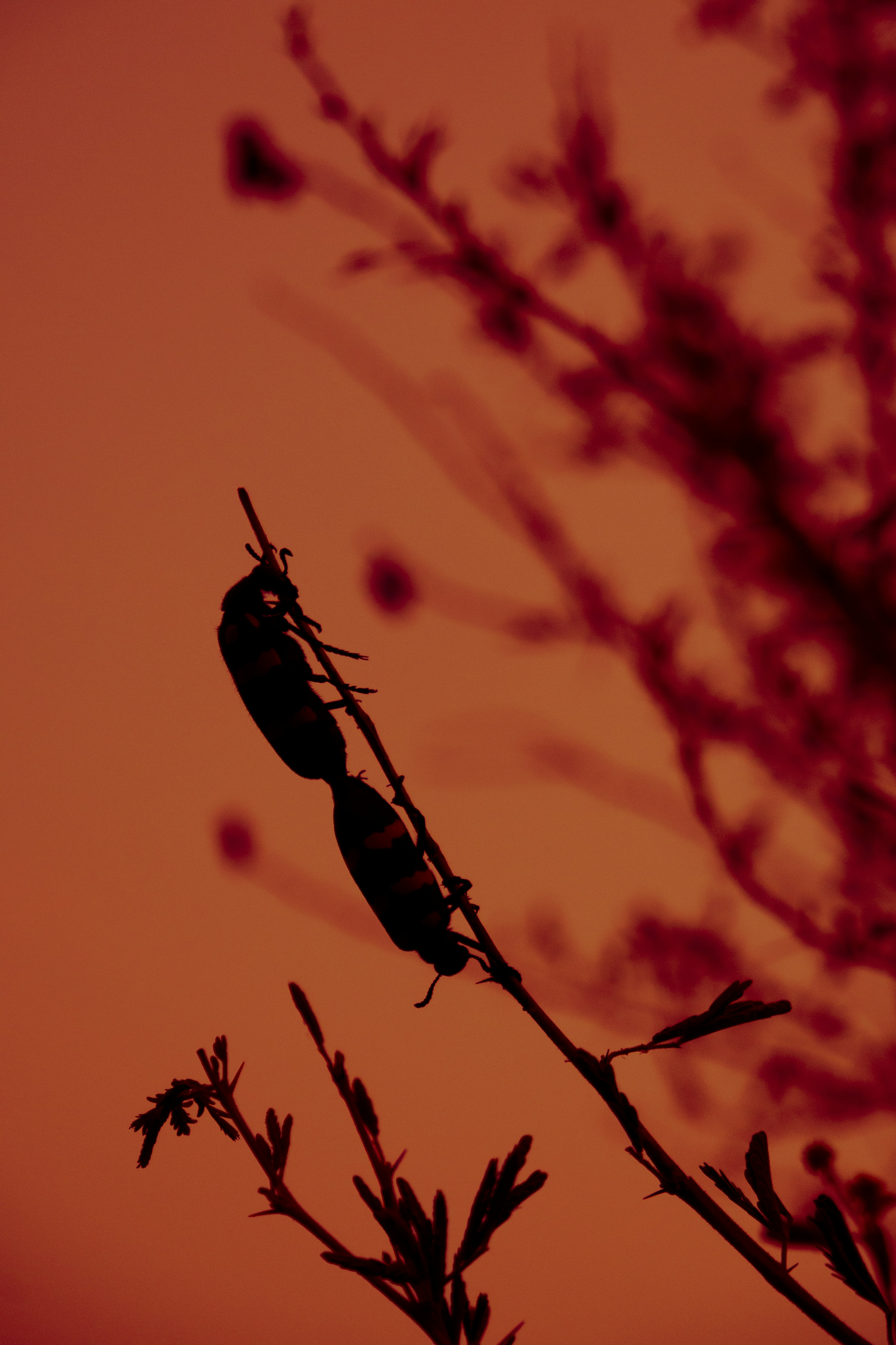 Photo by jaya14shukla