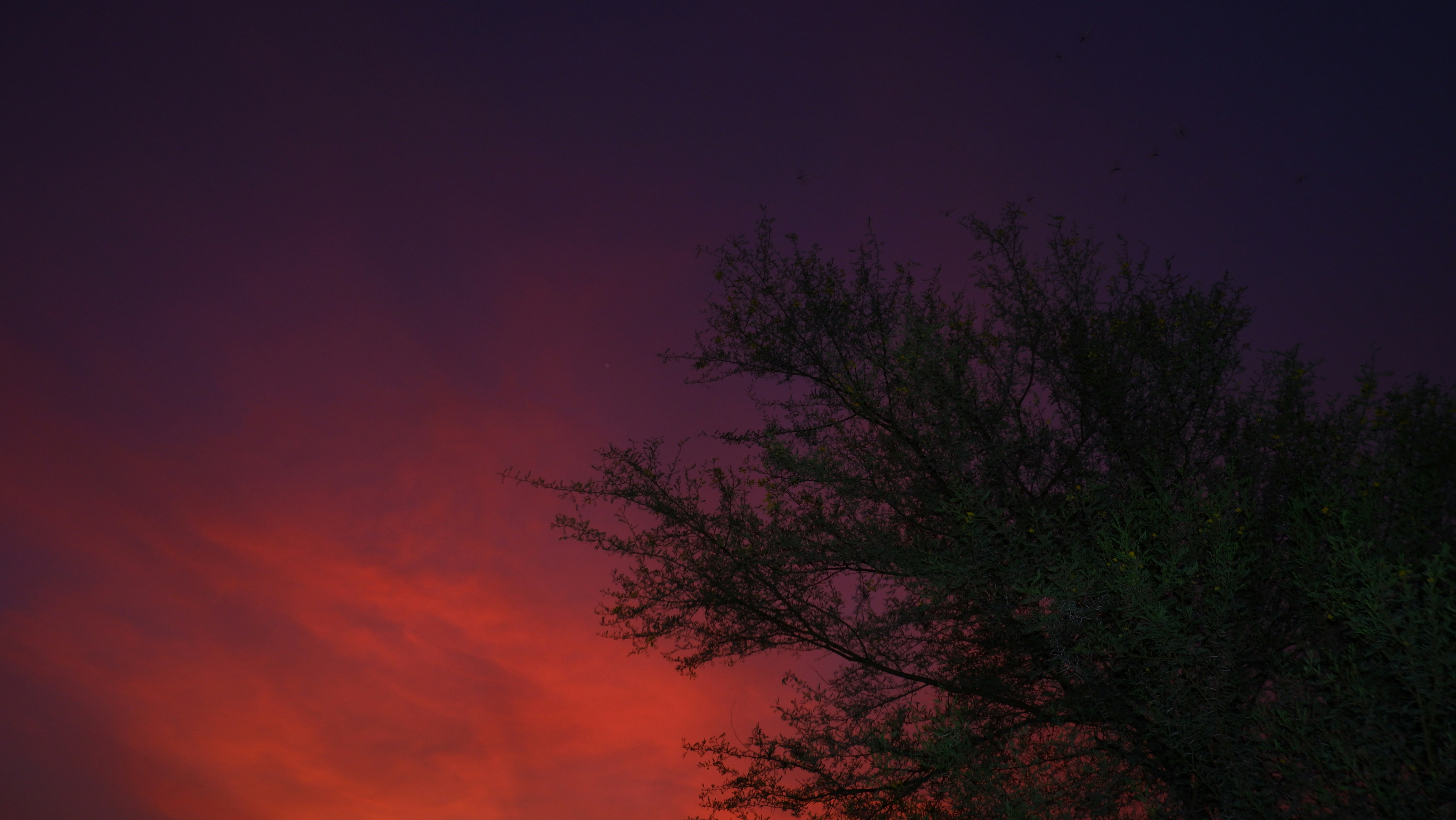 Photo by jaya14shukla