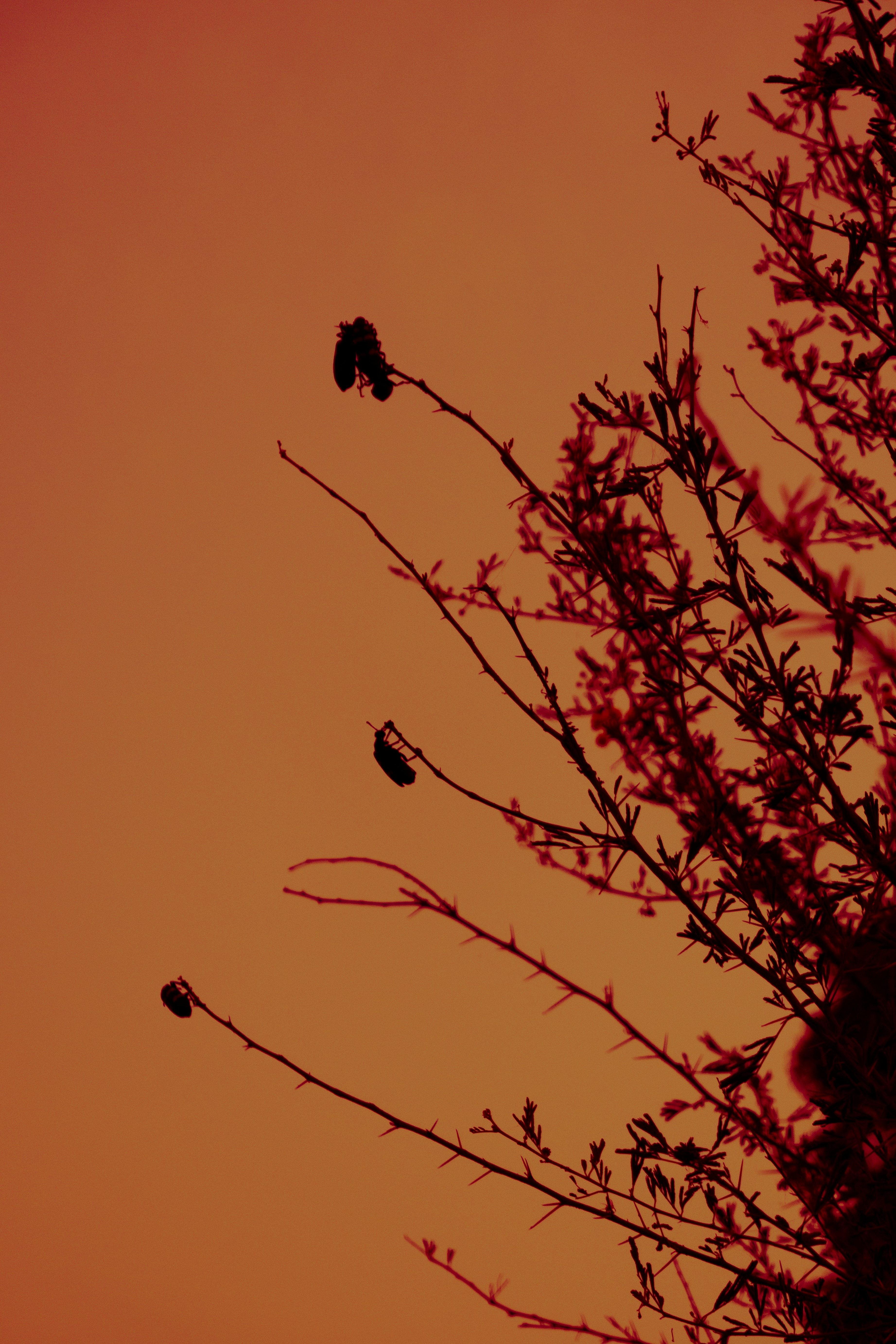 Photo by jaya14shukla