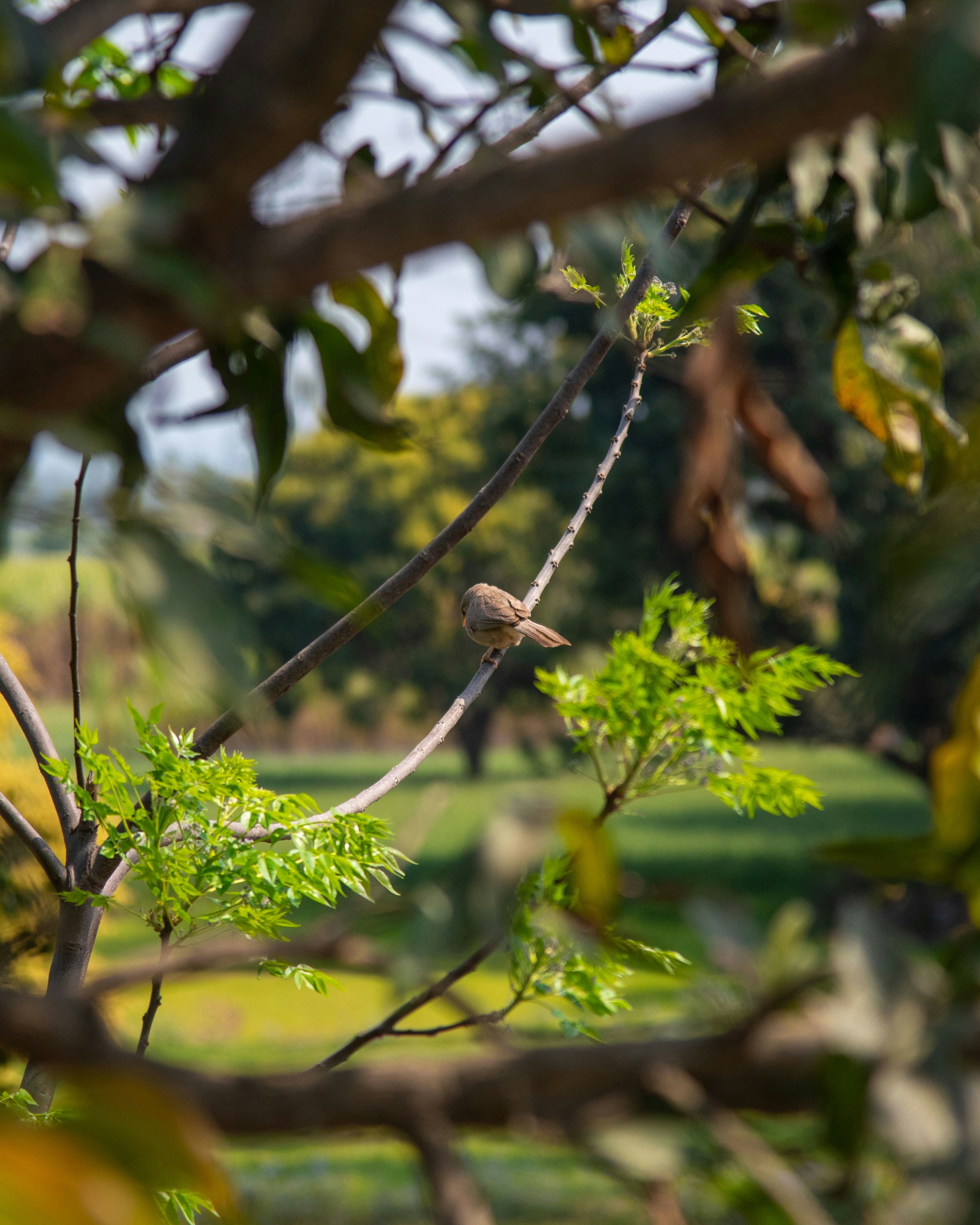 Photo by devang_punia