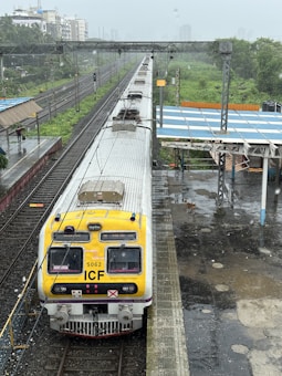 A train with a yellow and white front is on the tracks next to a partially covered platform. The tracks are bordered by greenery and a distant city skyline is visible in the background. The platform area is slightly wet, indicating possible recent rain, and a stray dog can be seen nearby.