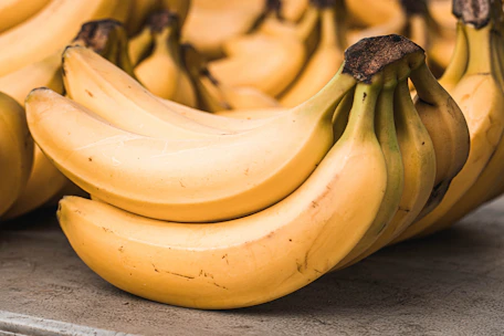 Close-up of fresh yellow Cavendish bananas with smooth peel on a green plantation background.