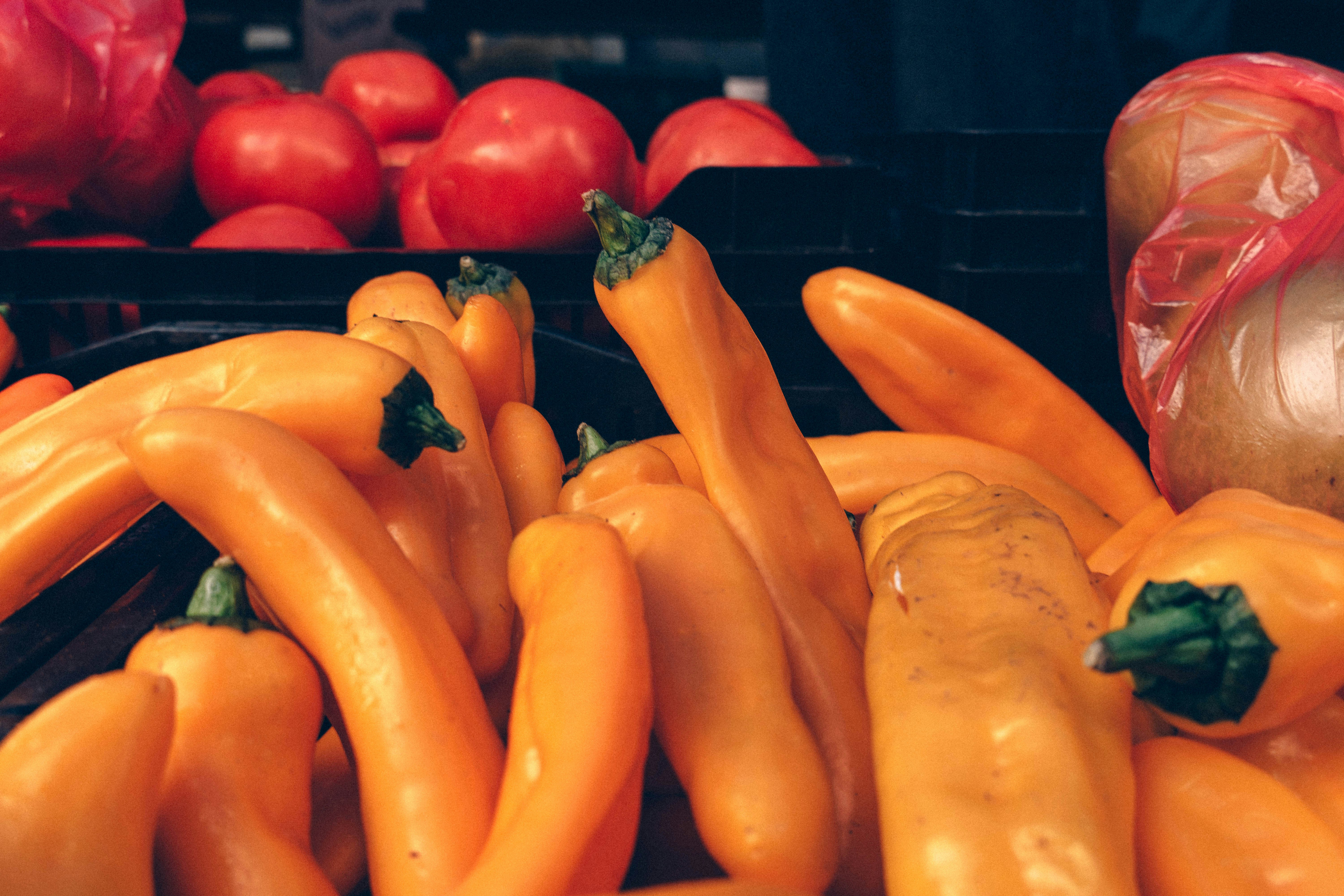 Photo by gustavo0351