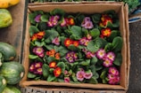 A delivery box with fresh plants ready to be sent to a customer's home in Argentina.