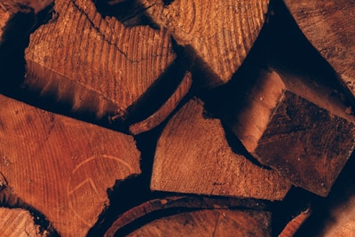 Close-up of seasoned eucalyptus logs showing rich grain and texture, sunlit on the farm.