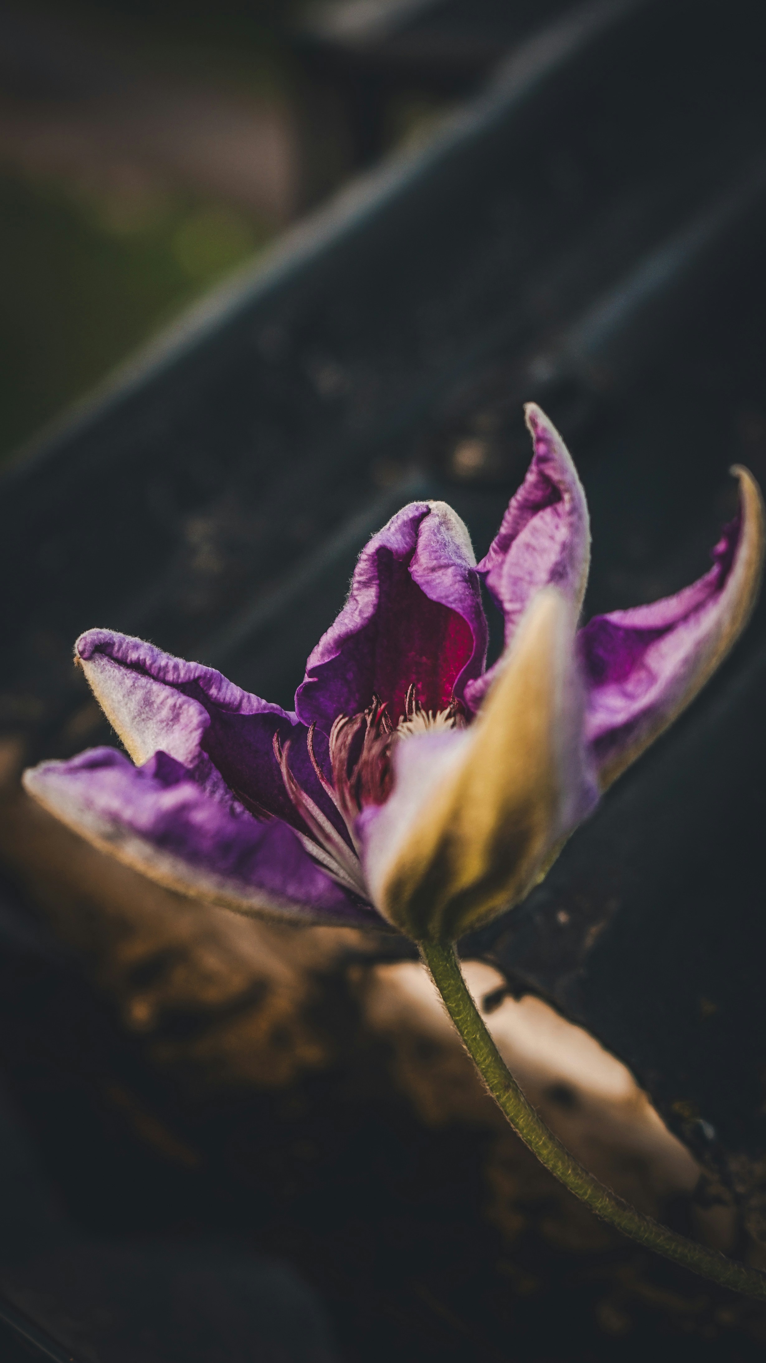 Photo by ok_photography