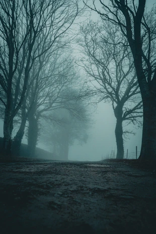 Close-up of a haunted forest path shrouded in mist, with twisted trees and glowing eyes peering through the darkness.