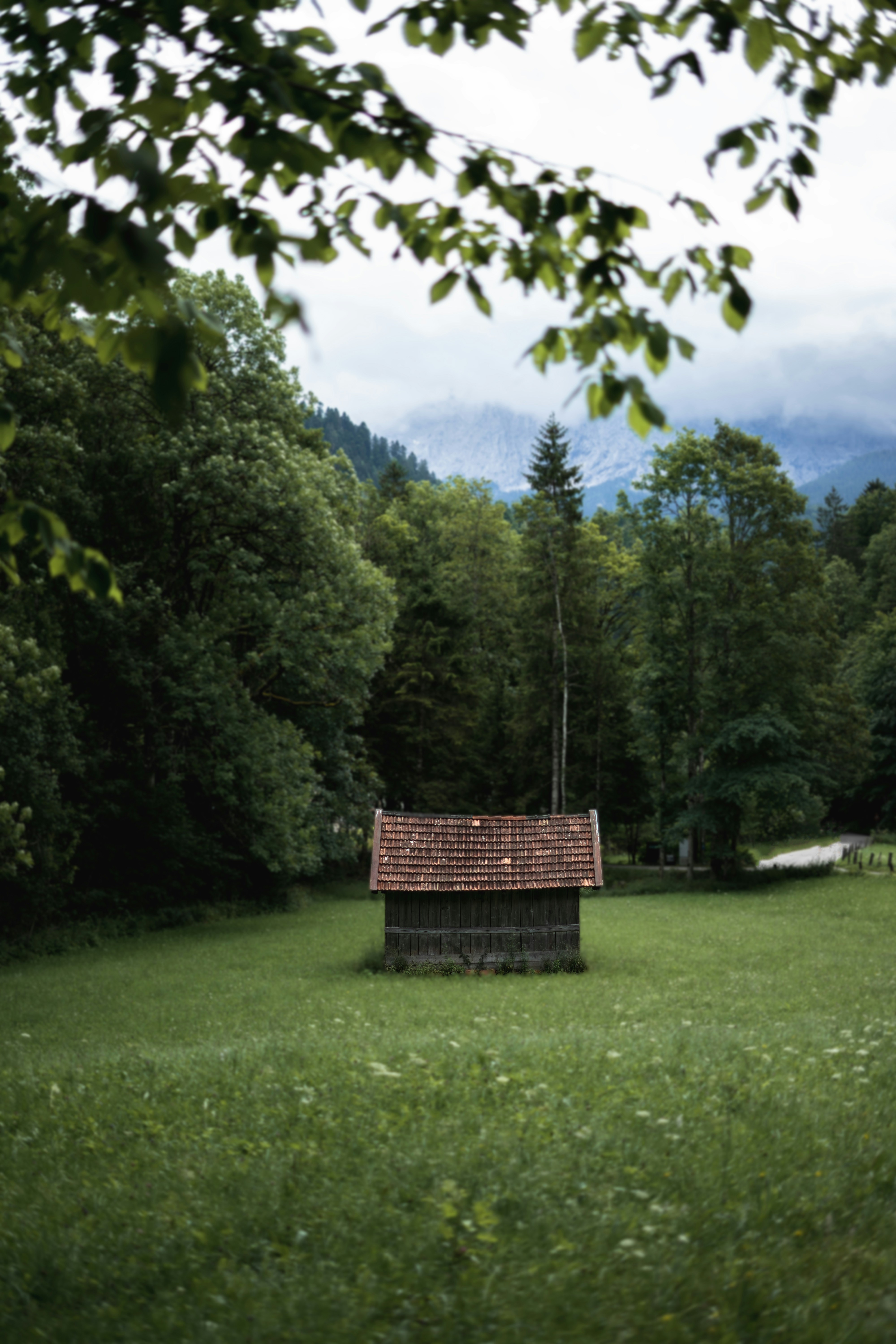 Photo by trenchophotography