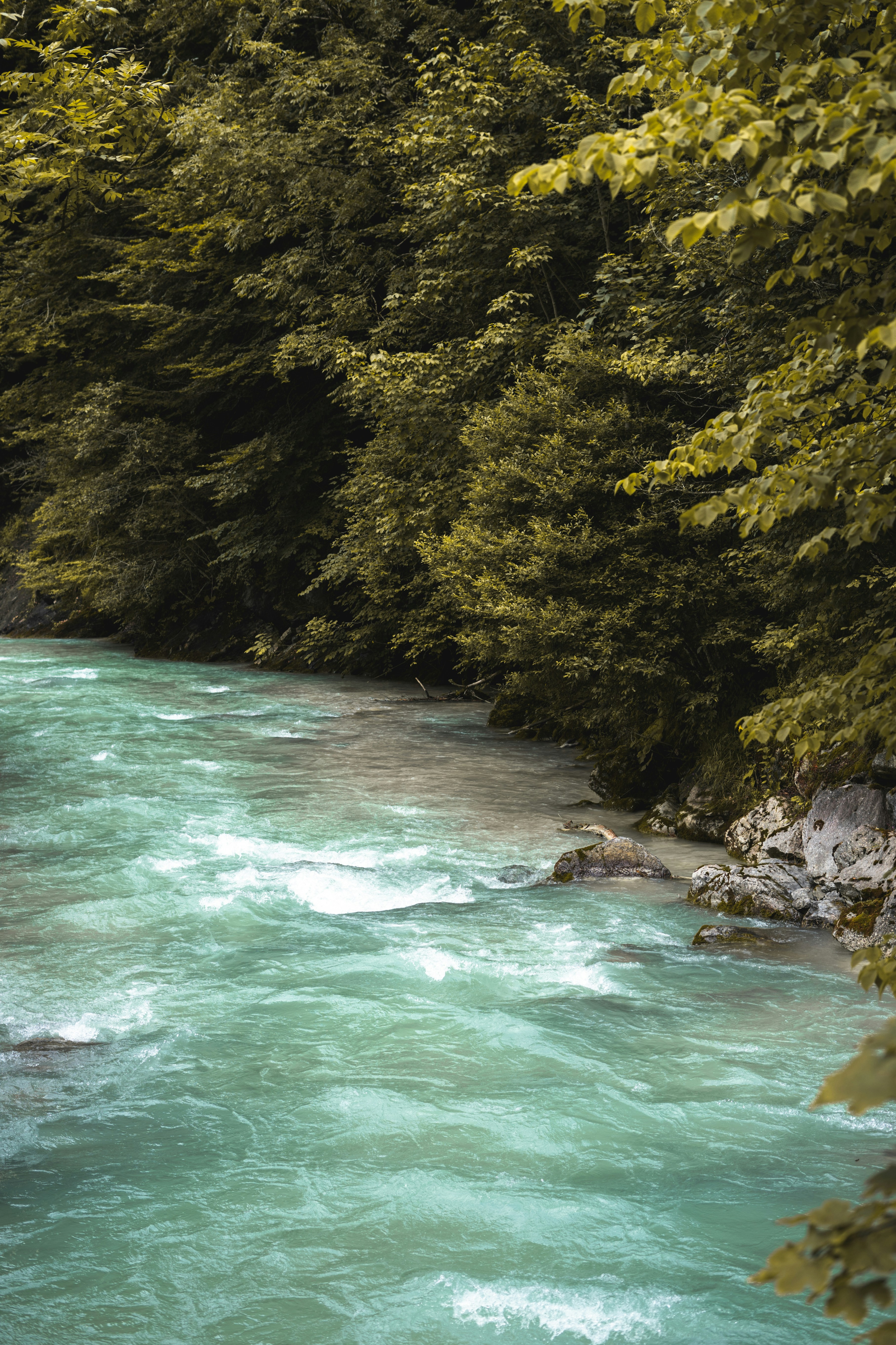 Photo by trenchophotography