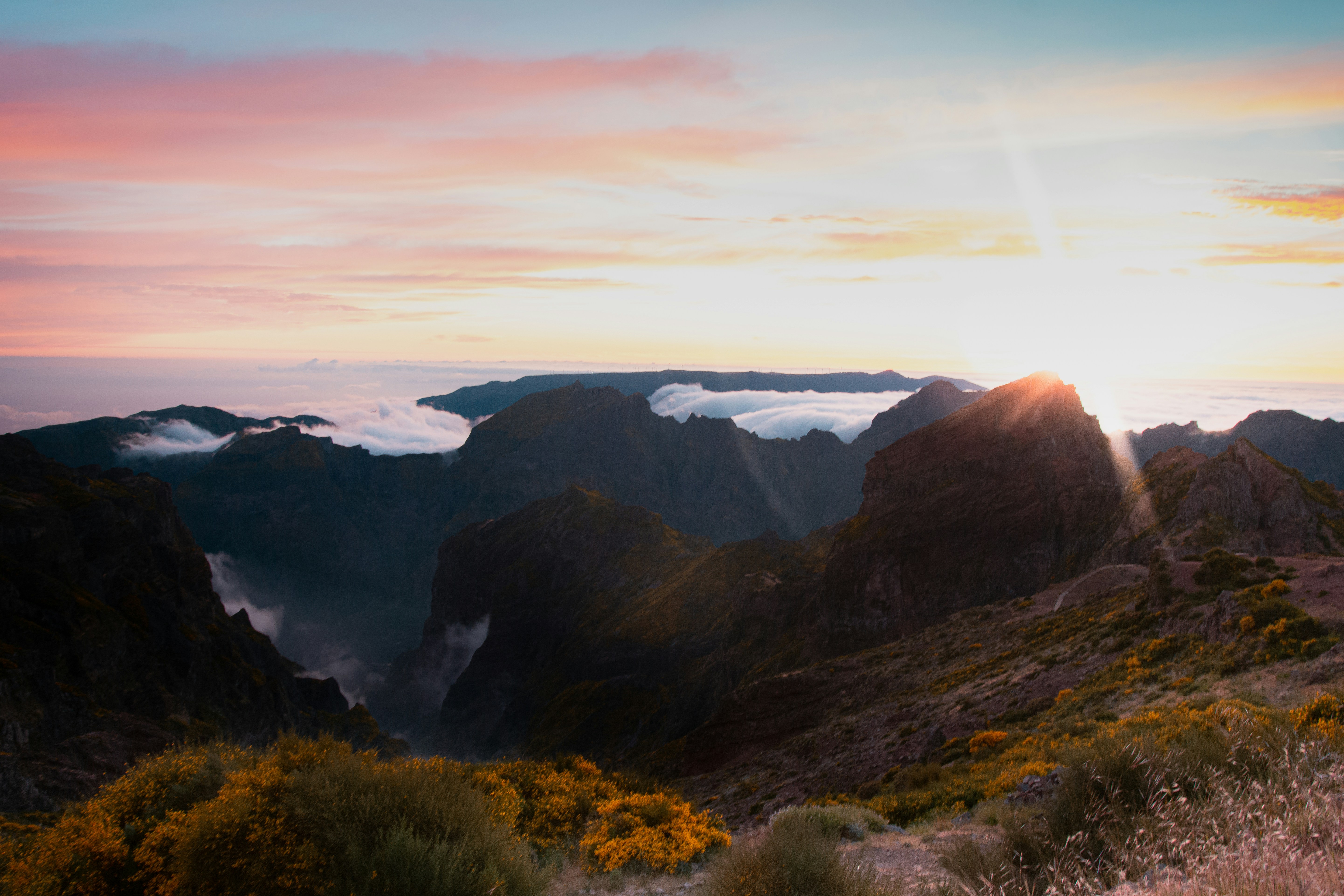 Photo by benjamin_artwok