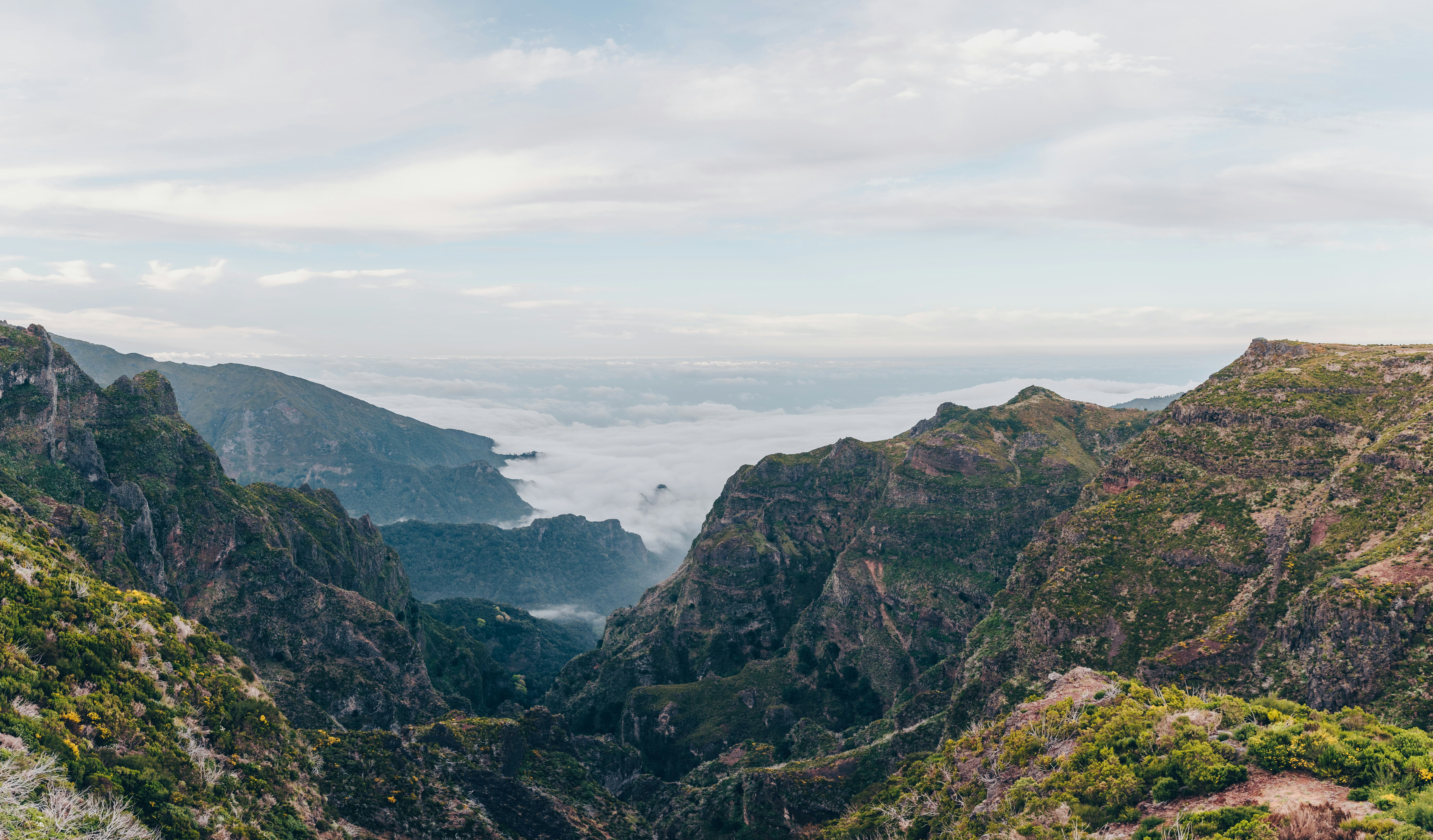 Photo by benjamin_artwok