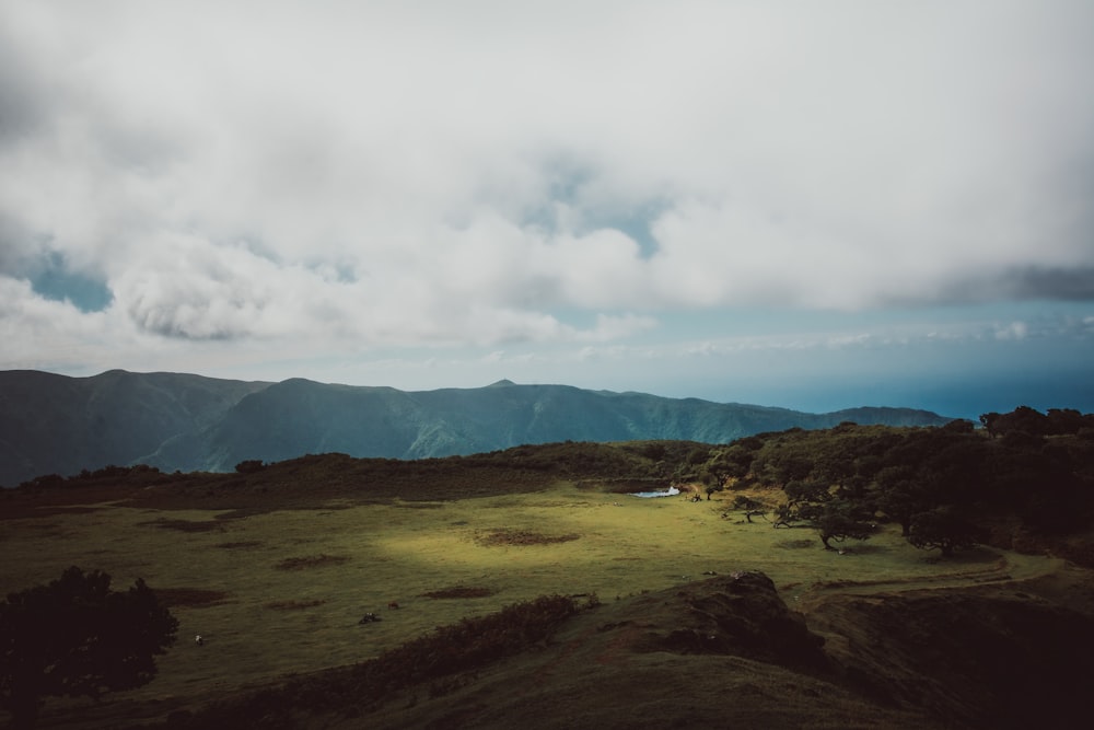 a grassy field with mountains in the background