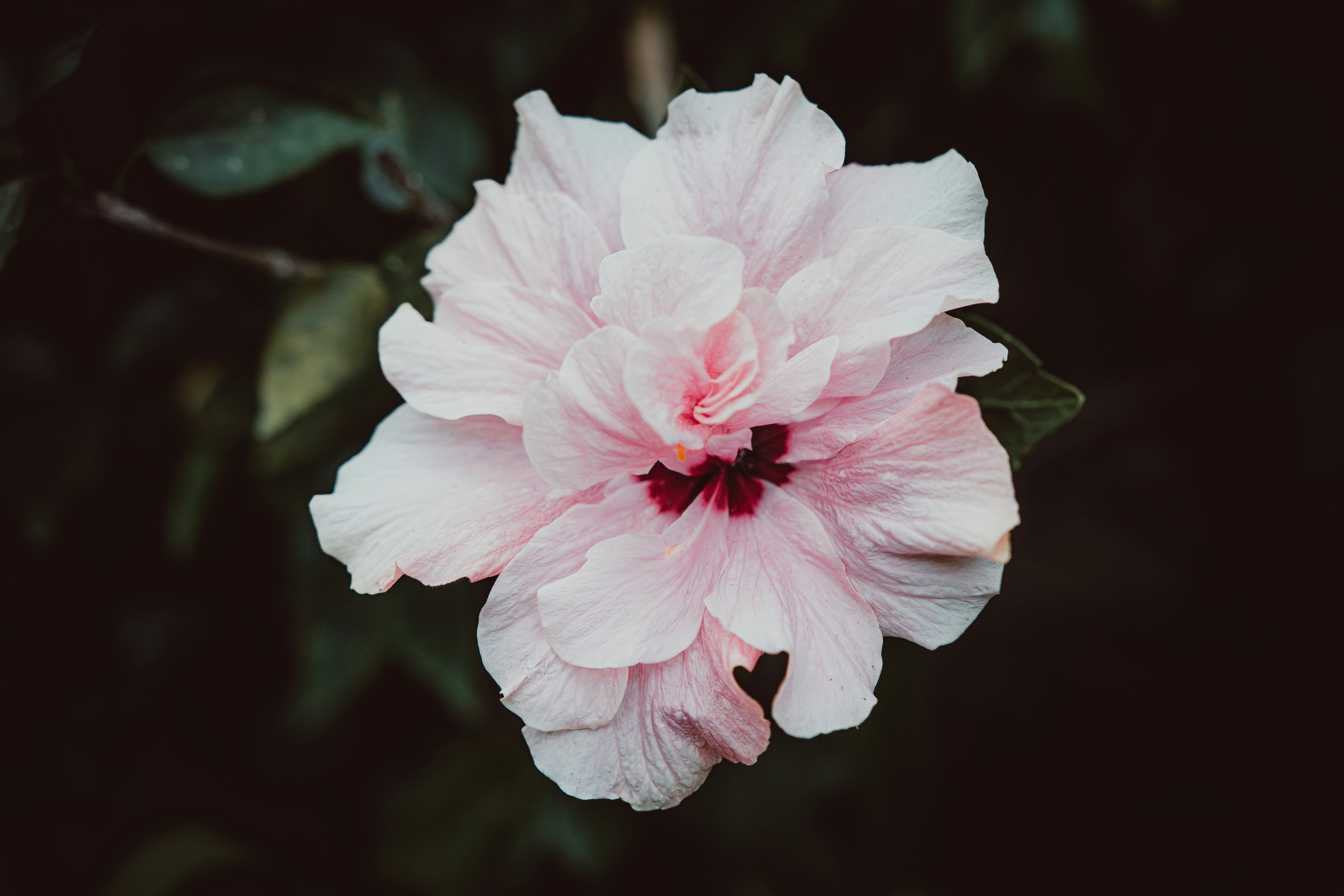 Photo by benjamin_artwok