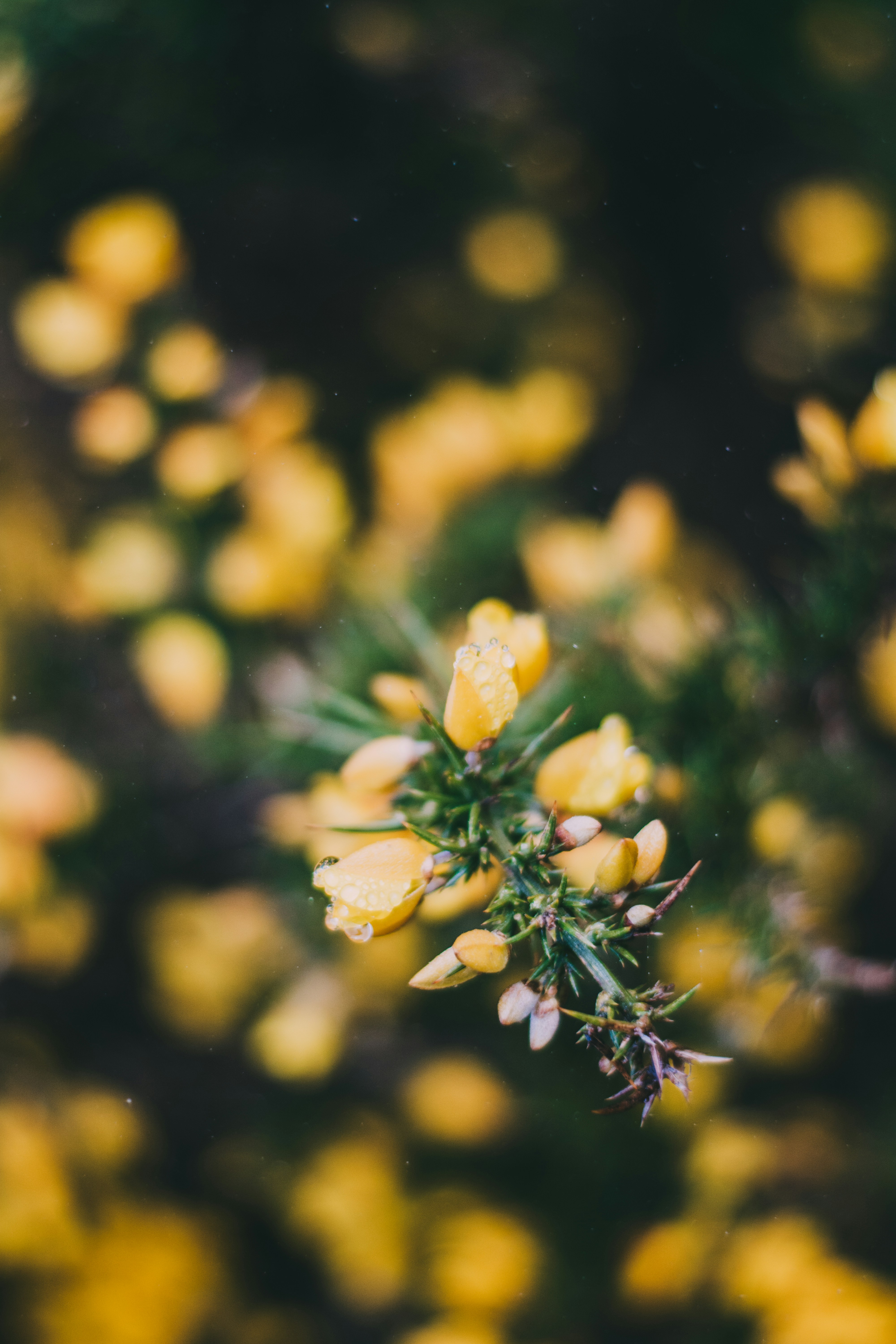 Photo by benjamin_artwok