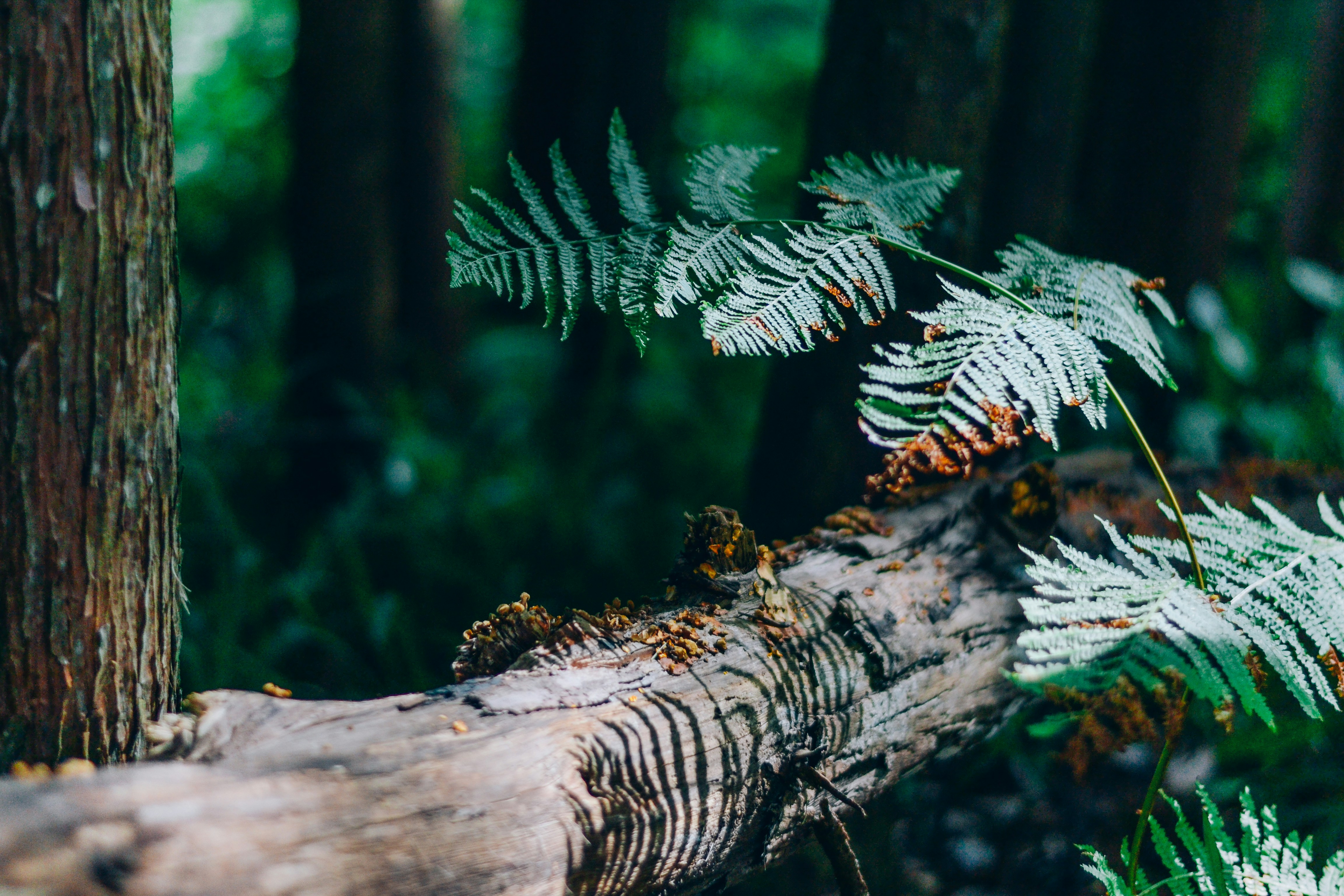 Photo by benjamin_artwok