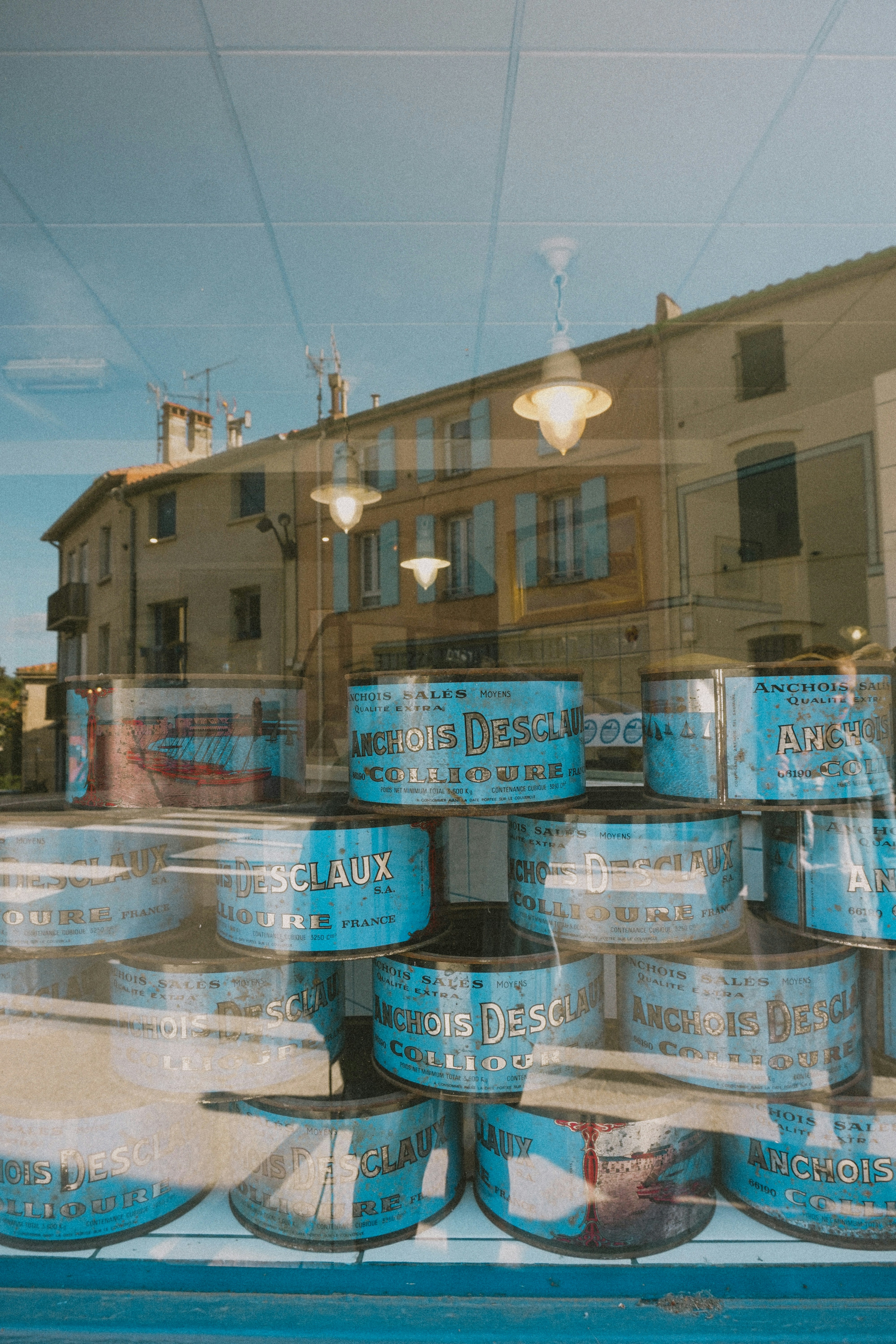 Anchoas del Cantábrico