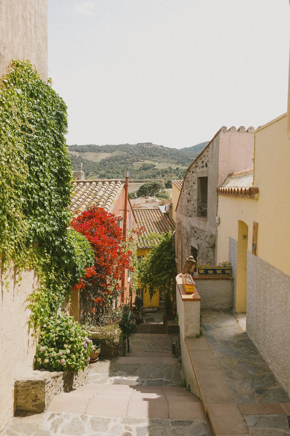 a narrow street with a few buildings and trees