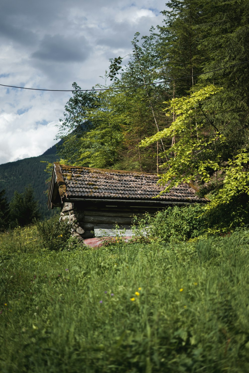 a small cabin in the middle of a forest