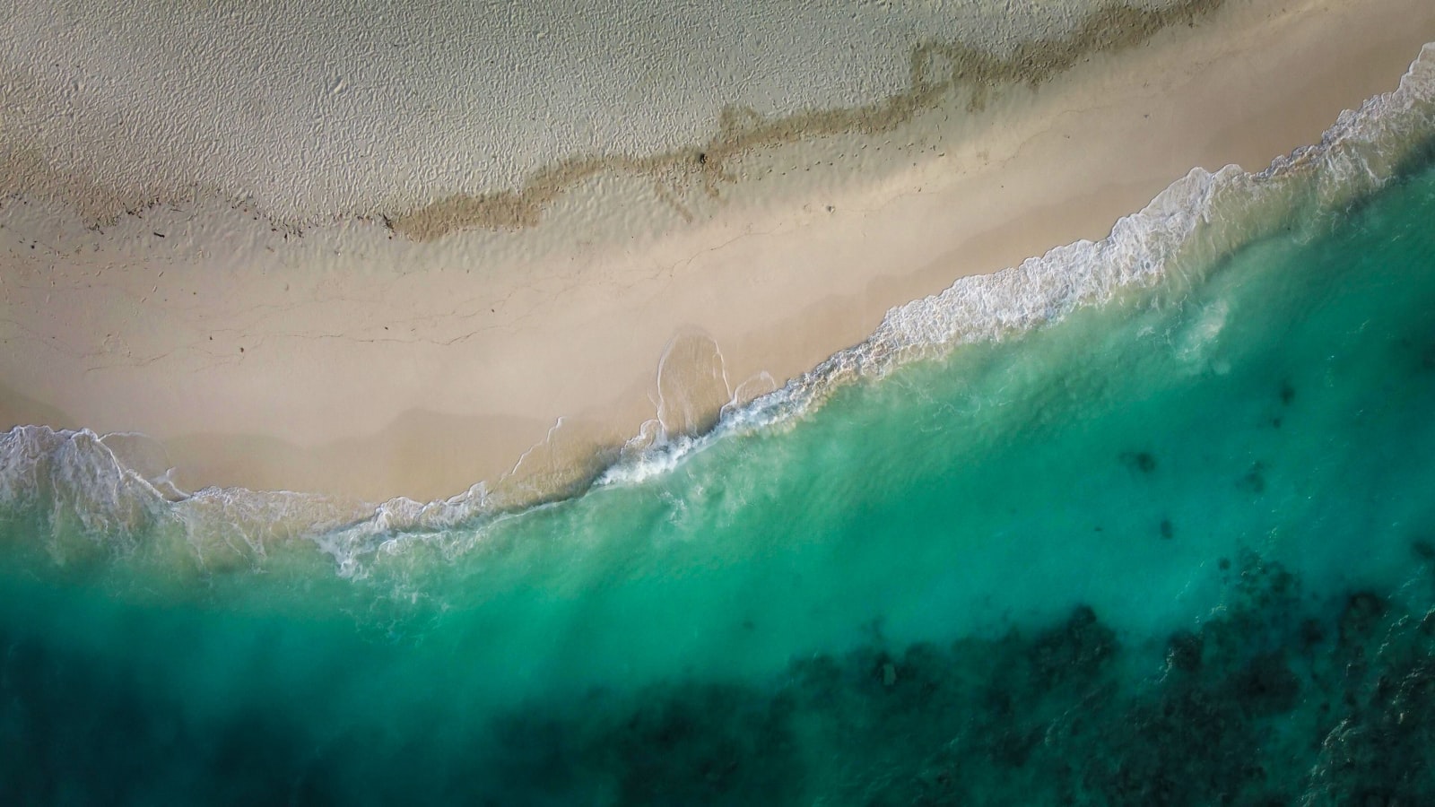 Aerial view of Grand Bahama beaches