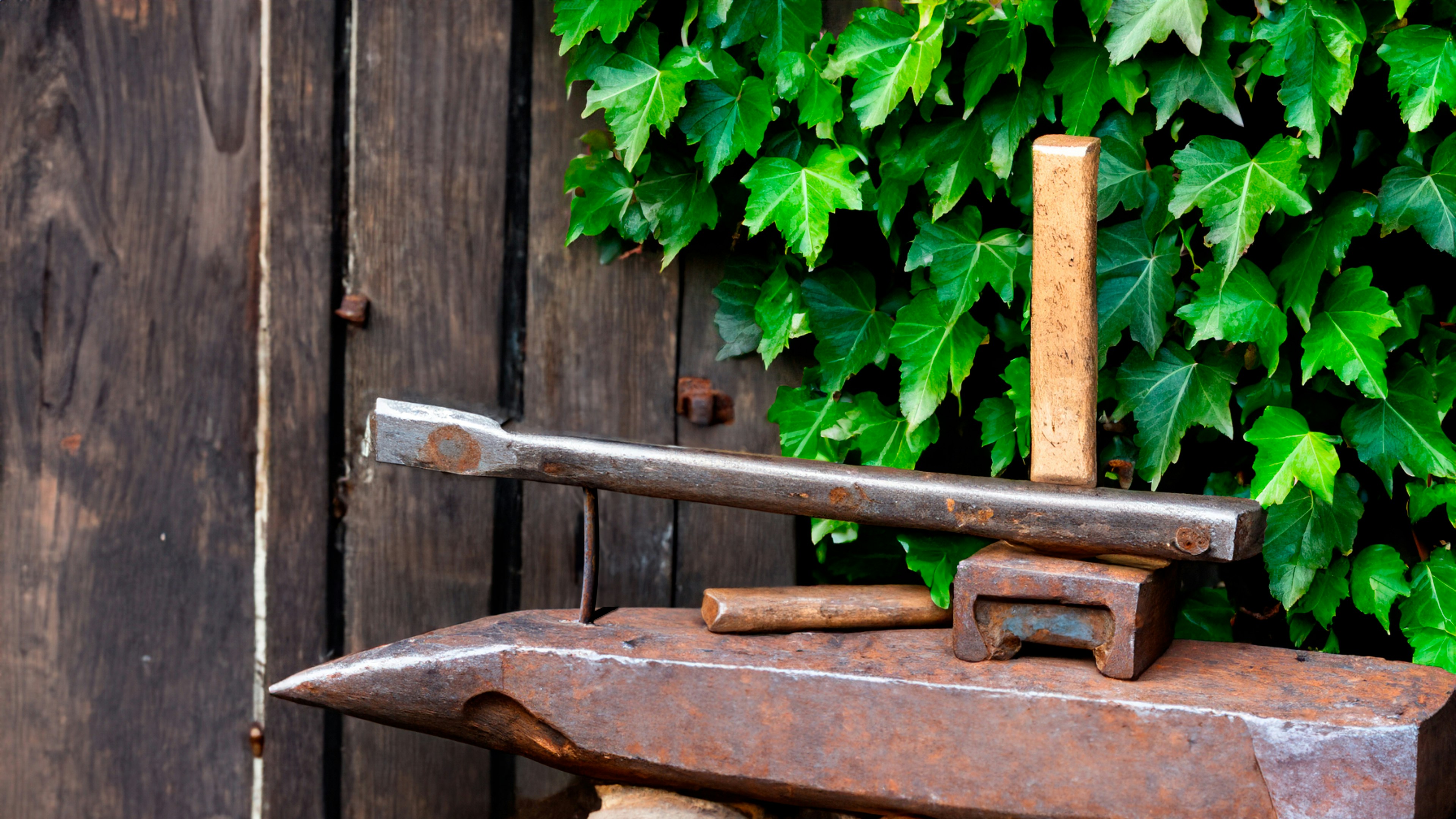 Photo by bakir_sattiran