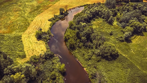 A serene countryside with rolling green hills and a winding river.