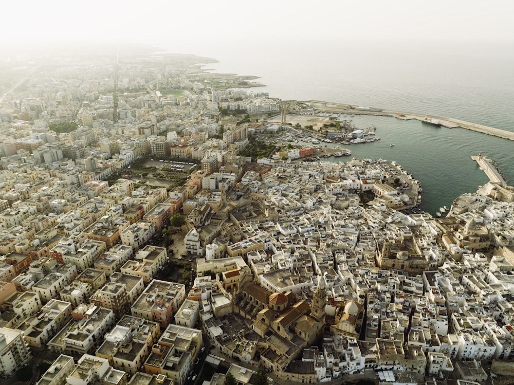 an aerial view of a large city next to a body of water