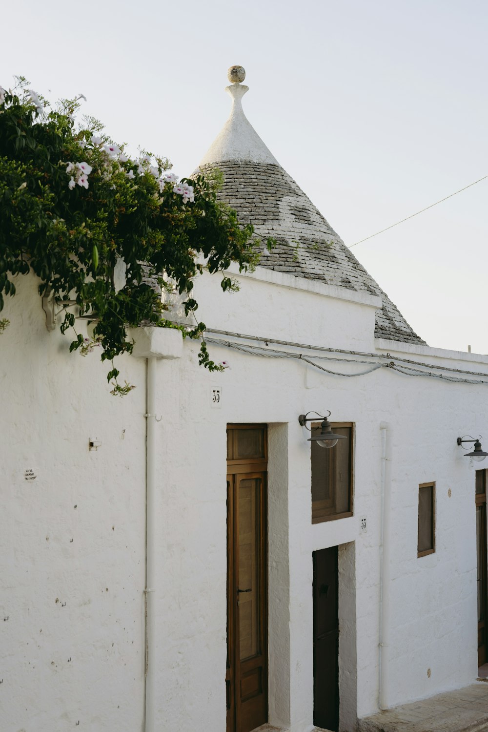 a white building with a tree growing over it