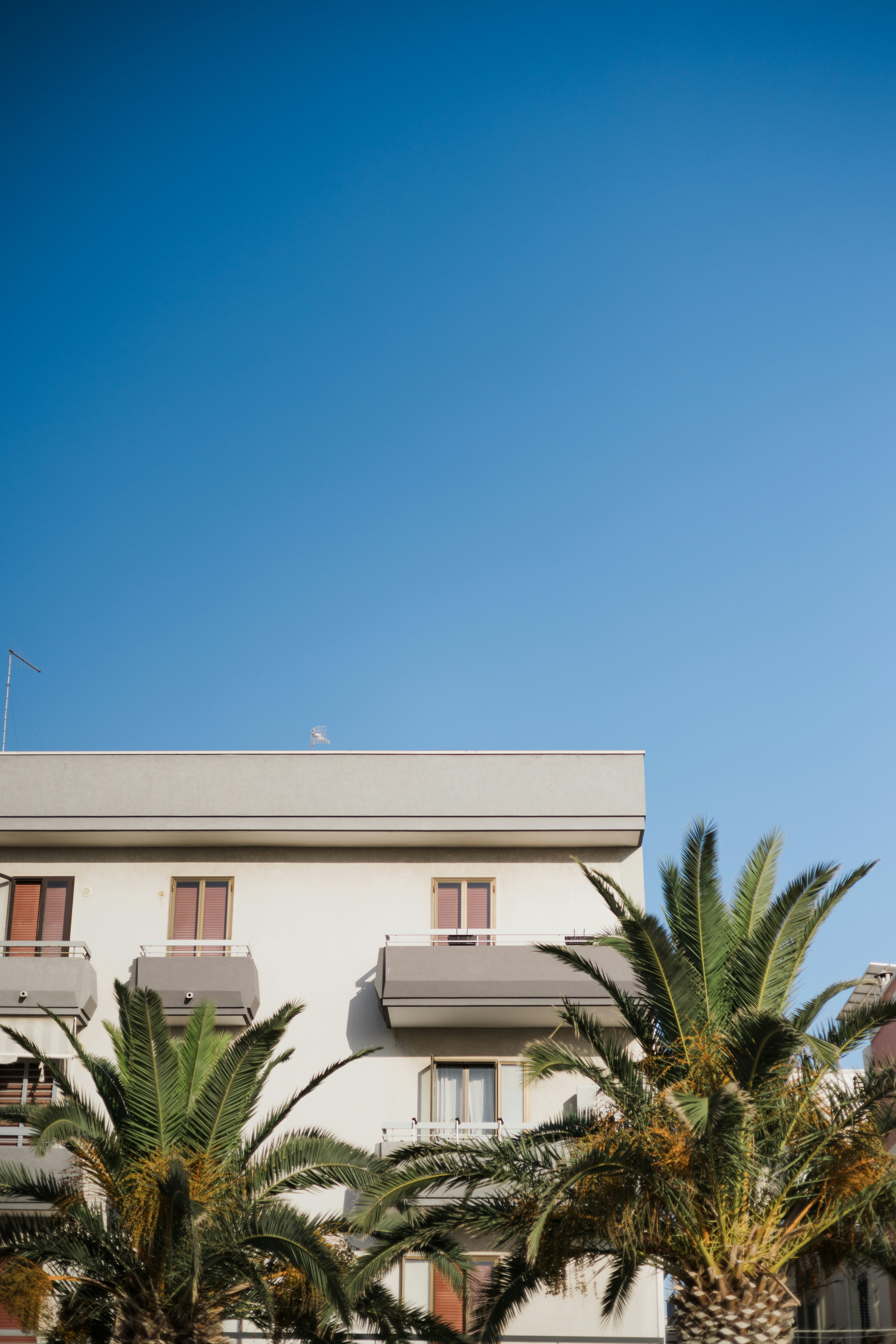 Photo by joshwithers