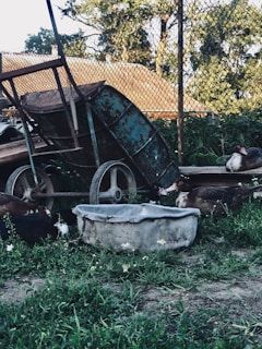 A rustic wheelbarrow filled with freshly gathered eggs resting on a sunlit farm path