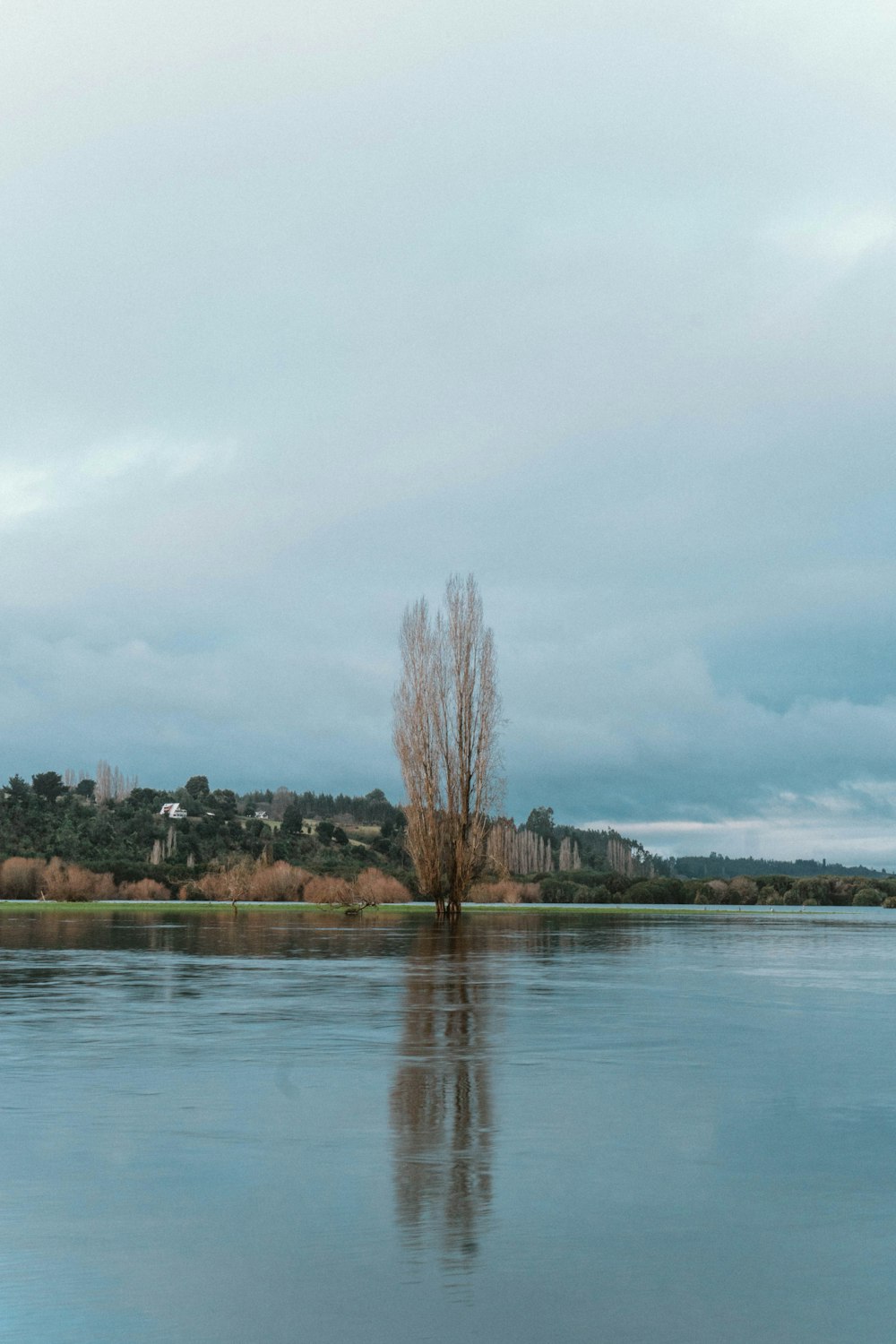 a large body of water with a tree in the middle of it