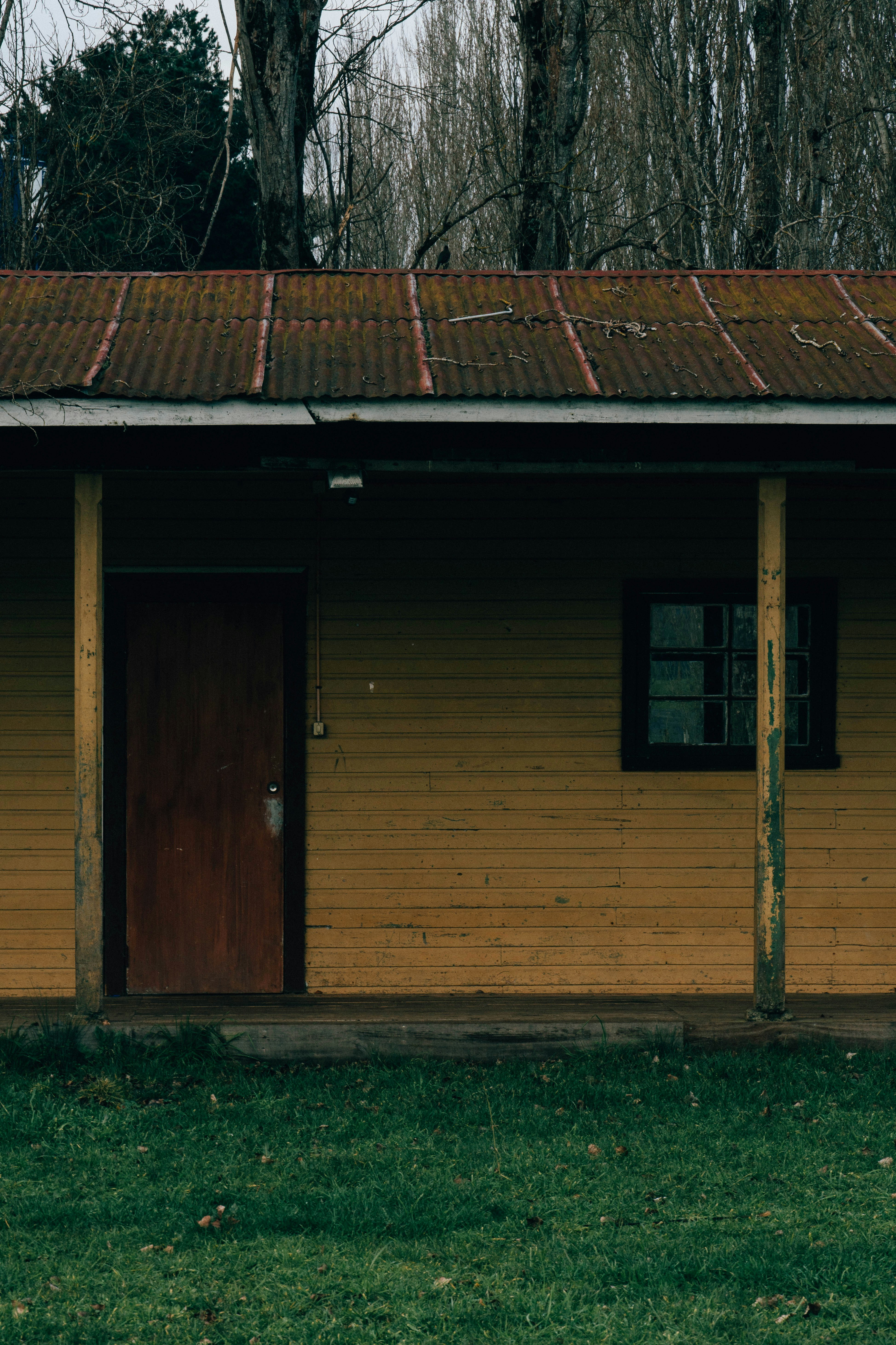 Photo by gustavo0351