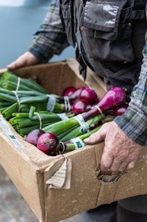 A person wearing a flannel shirt and a black vest is holding a cardboard box containing several bunches of fresh green onions with purple bulbs. Each bunch is tied together with elastic bands.