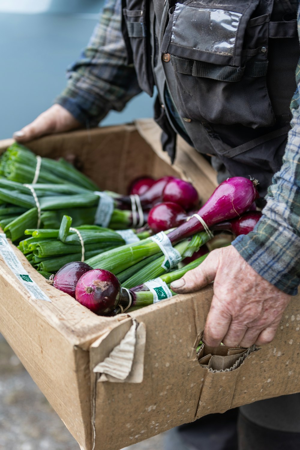 a man holding a box full of onions and radishes