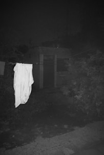 A white sheet hangs on a clothesline against a dimly lit, outdoor backdrop. The surrounding area is overgrown with foliage, and there appears to be a concrete structure partially visible in the background.
