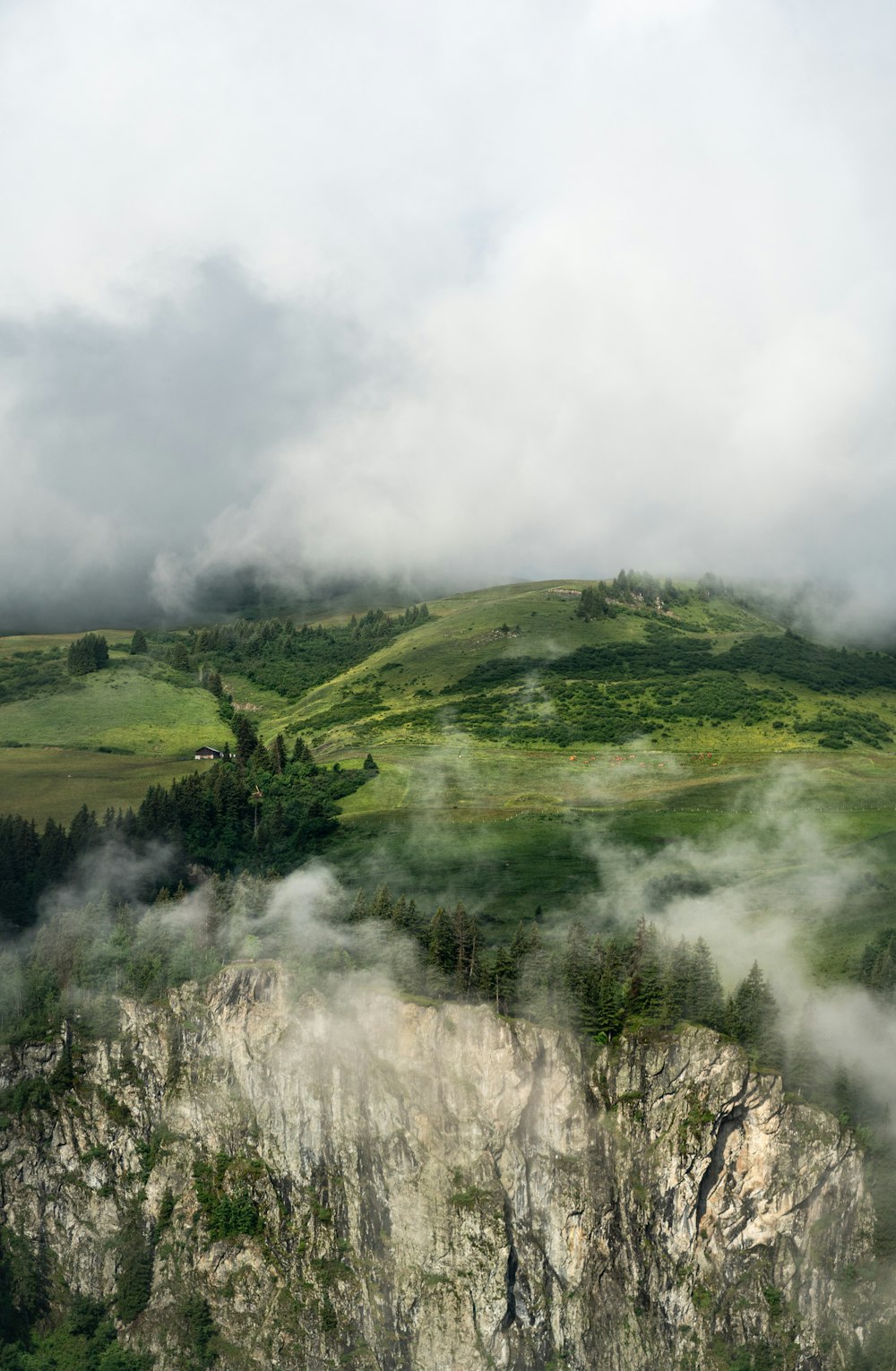 a scenic view of a green valley with a mountain in the background