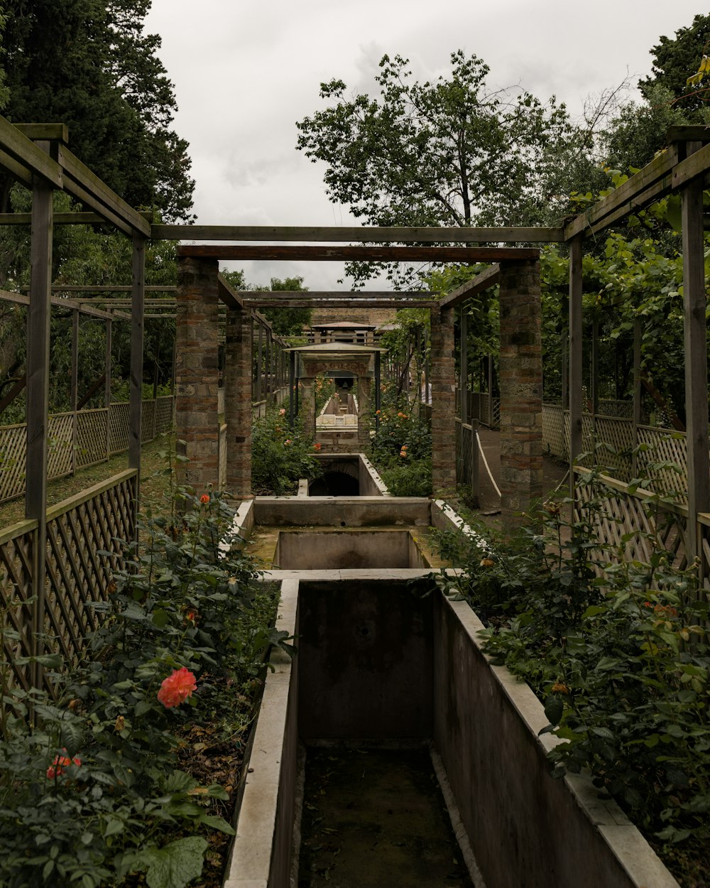 a garden filled with lots of plants and flowers