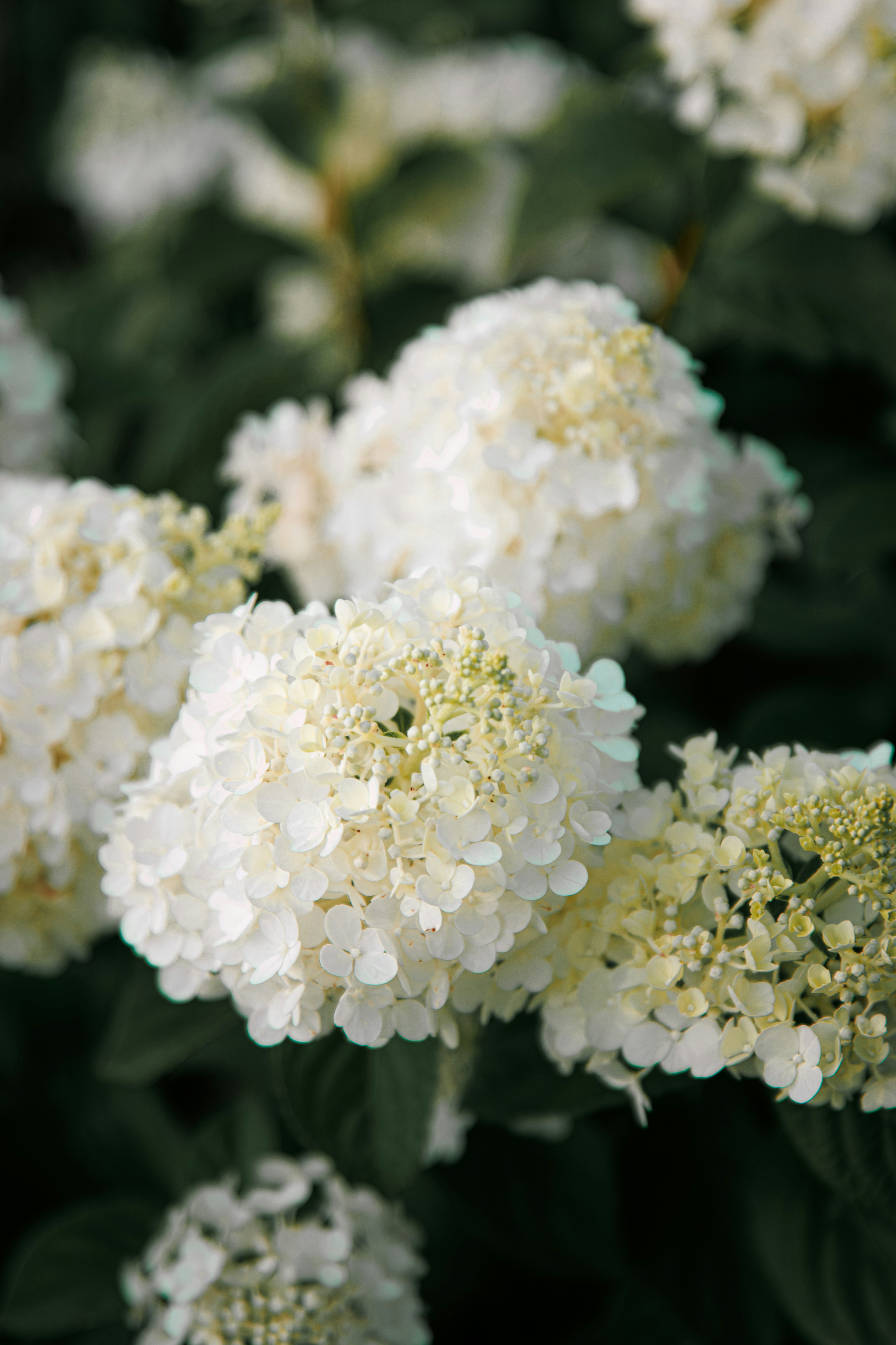 Photo by storywright