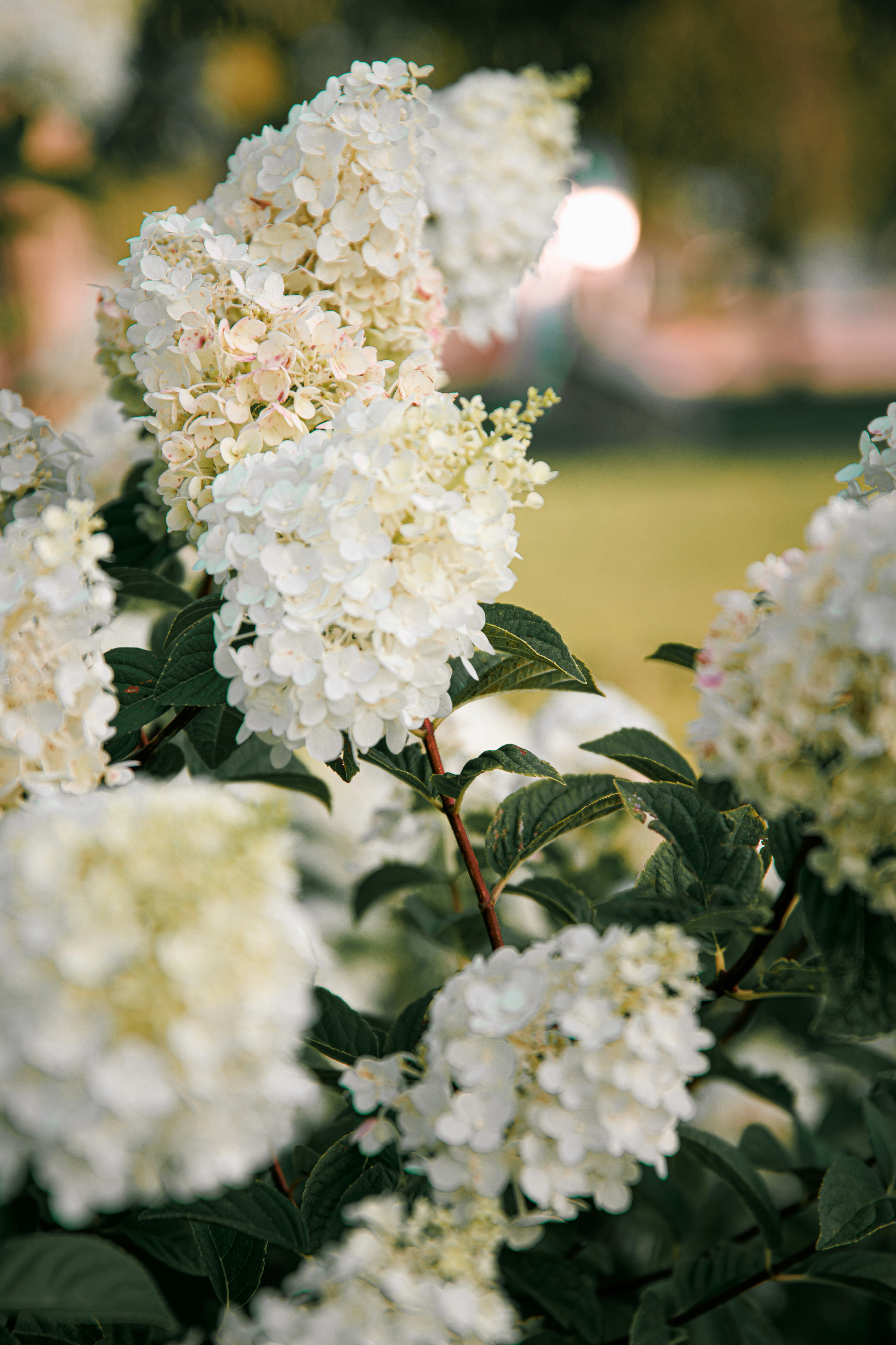 Photo by storywright