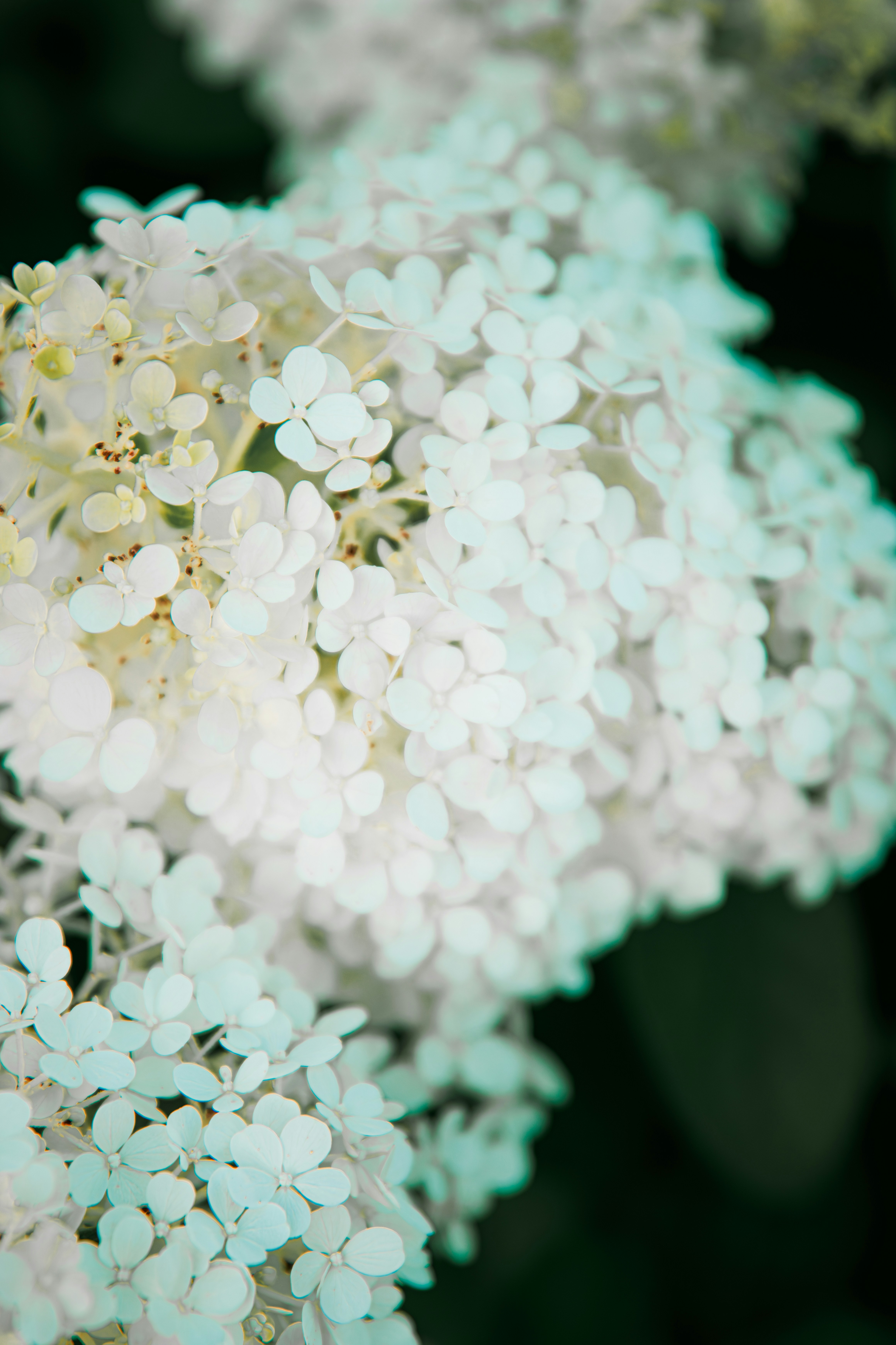 Photo by storywright