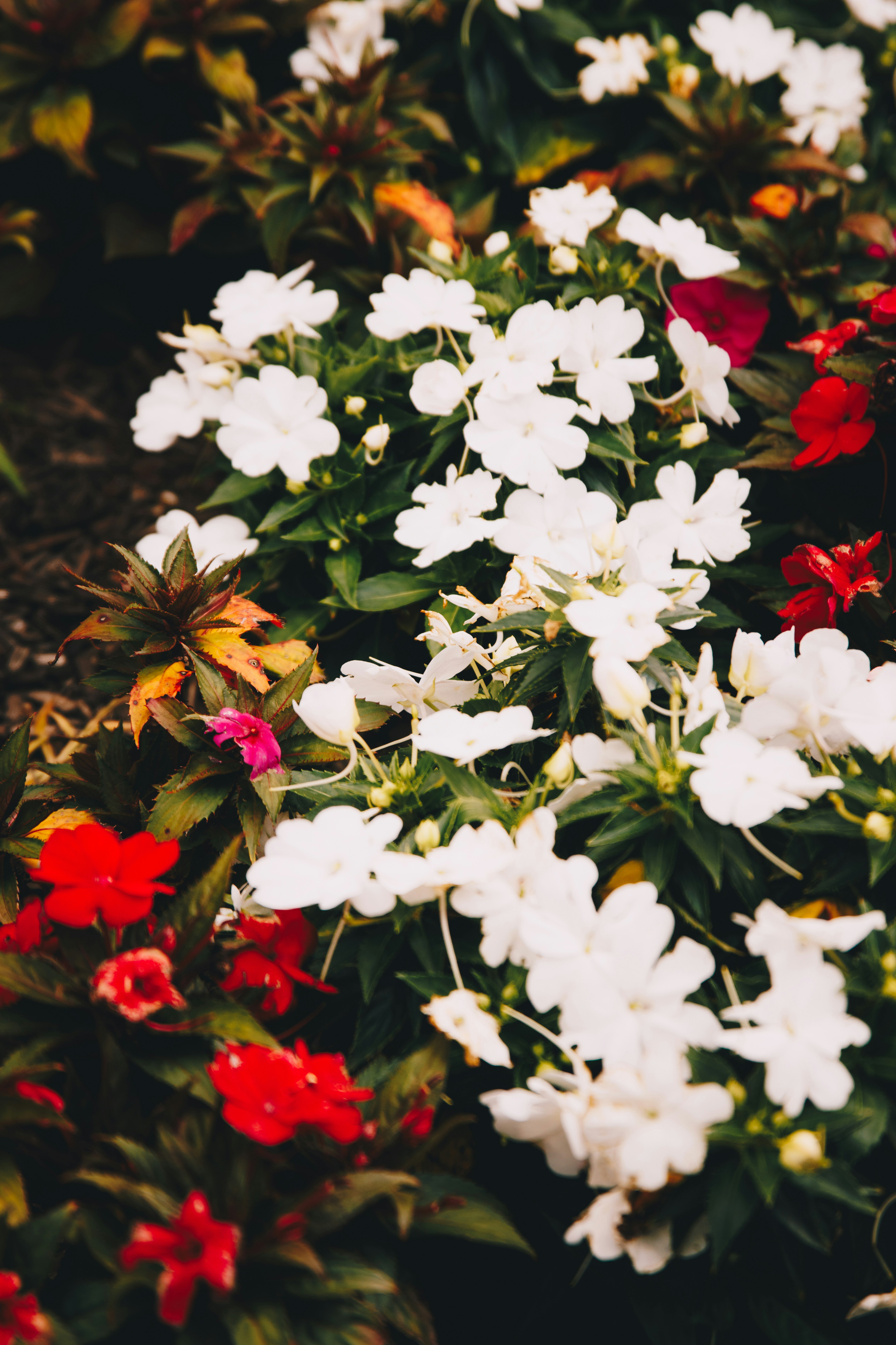 Photo by storywright