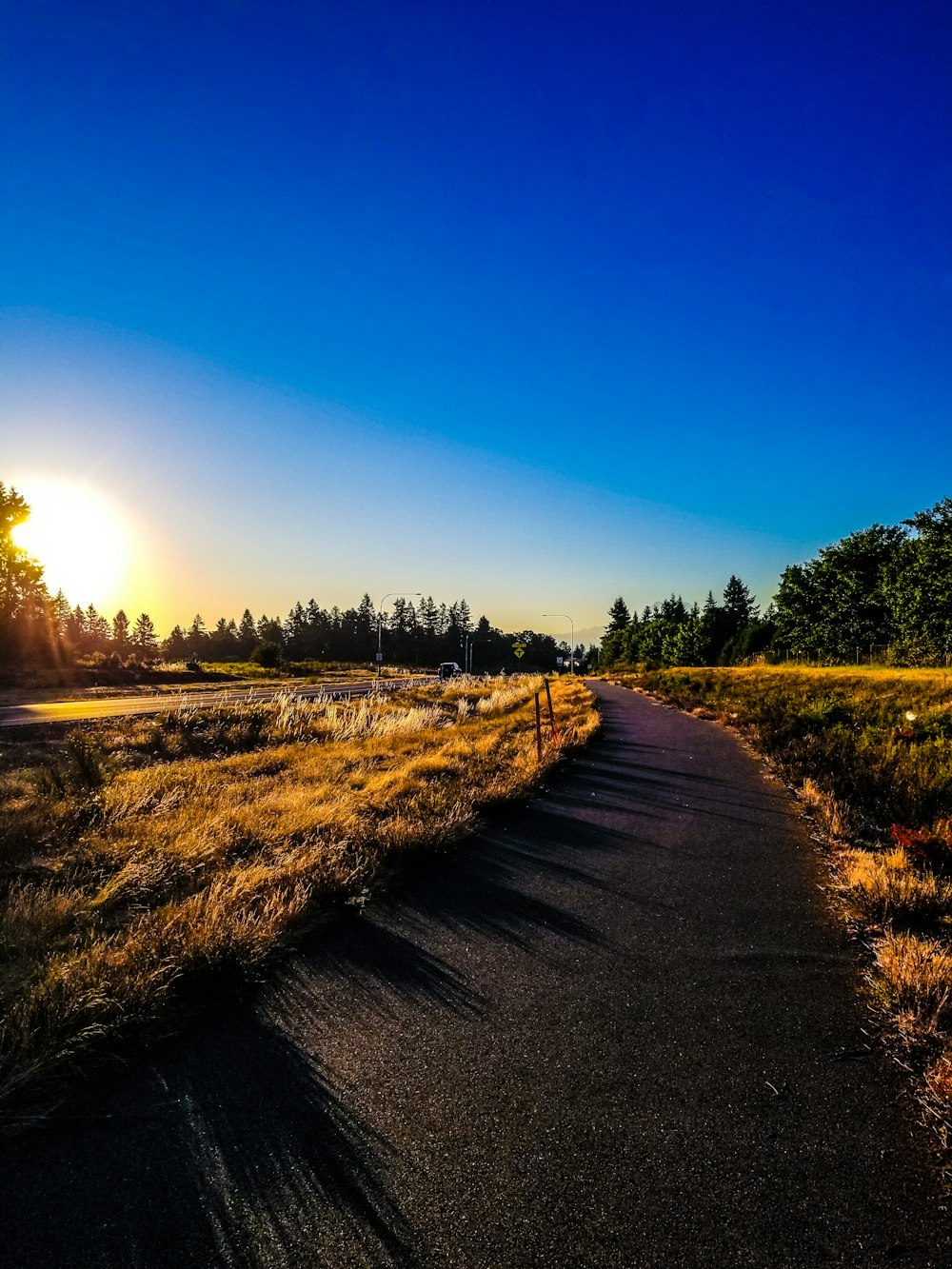 the sun is setting over a grassy field