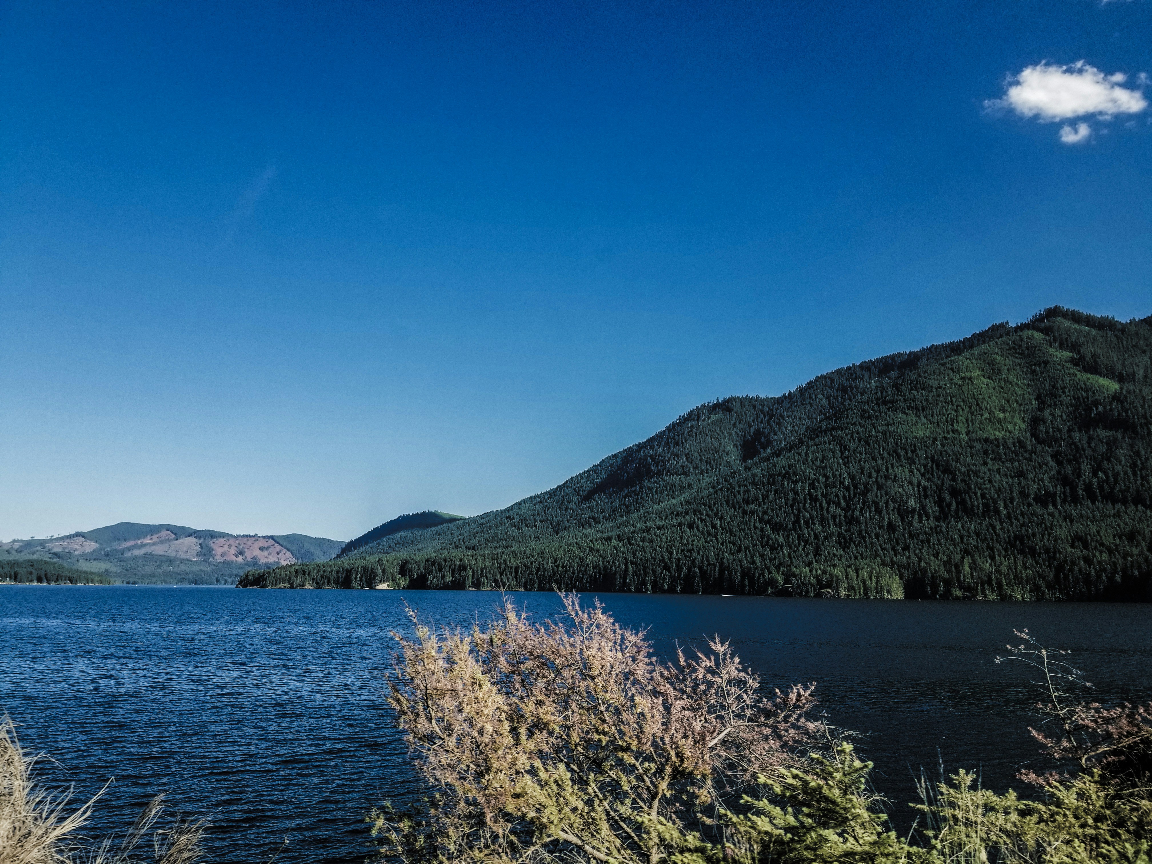 Photo by prphotography262